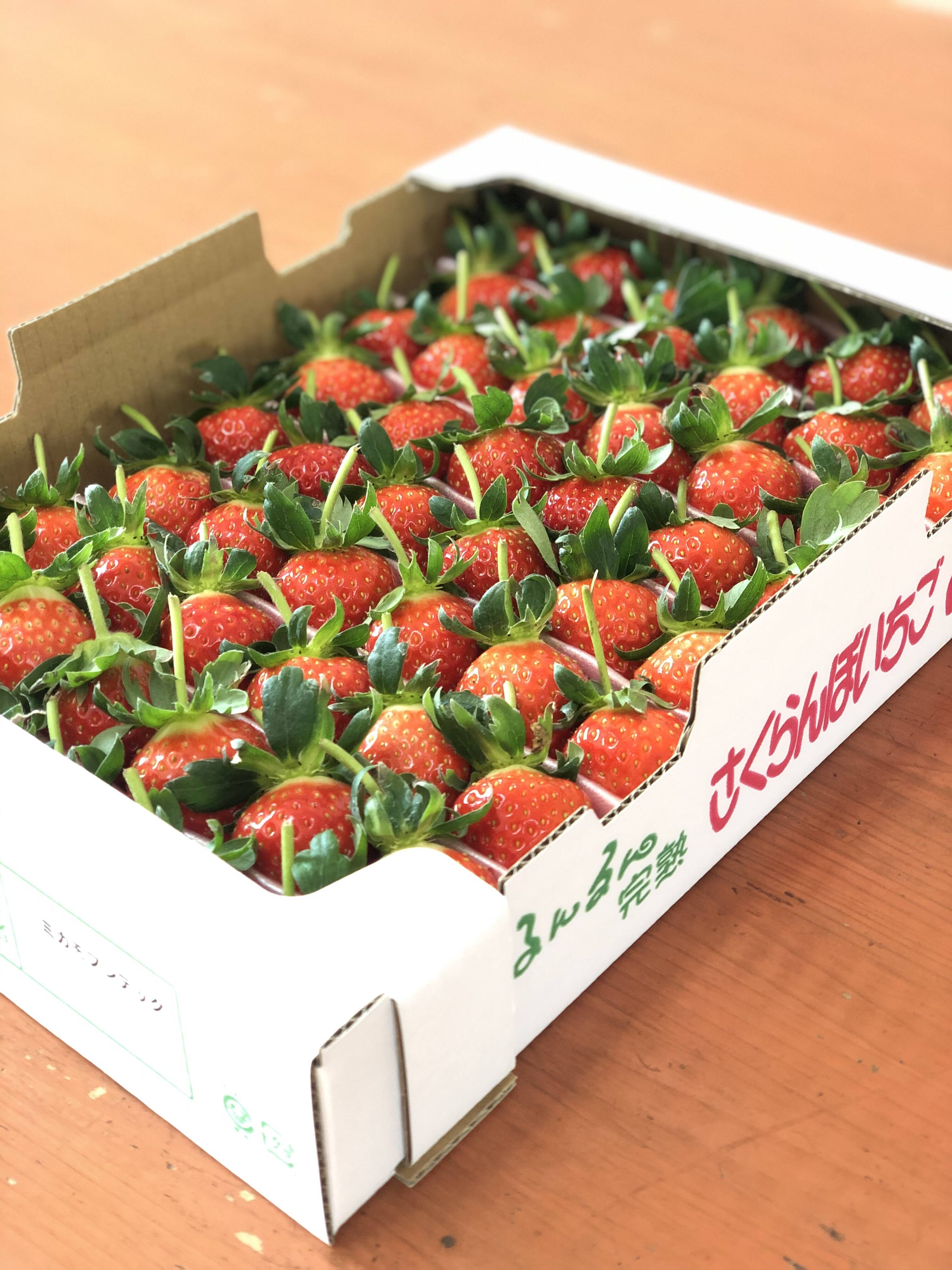 1度試したら2度買いたくなるイチゴ「アスカルビー(3L以上)」（1.3kg