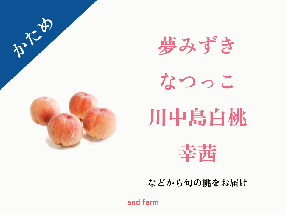 かため桃】桃好き必見！桃のリレーが楽しめる！季節の【桃】おうち用