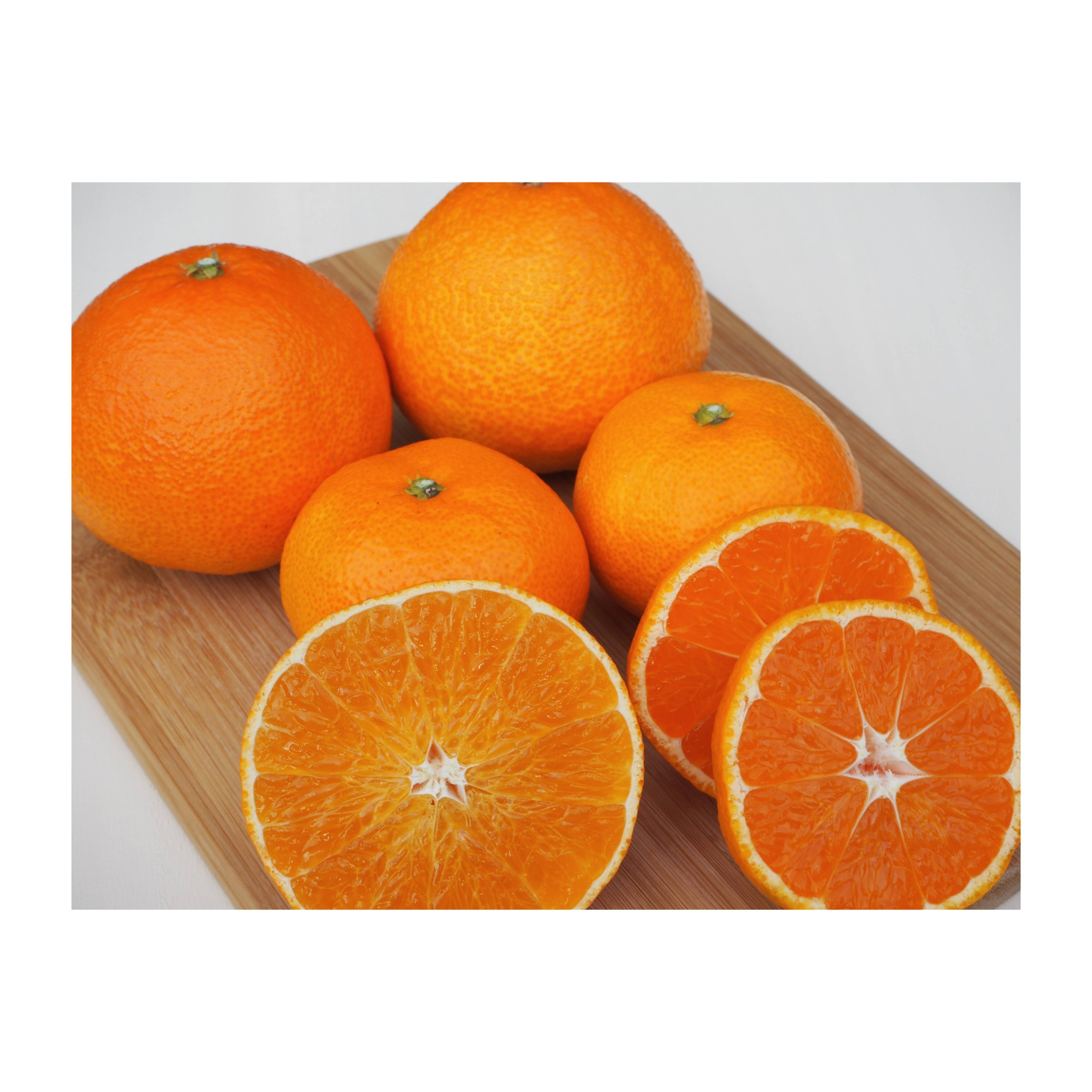 みかん2 みかん 2号｜オリジナル商品｜株式会社ジェフダ（JFDA）