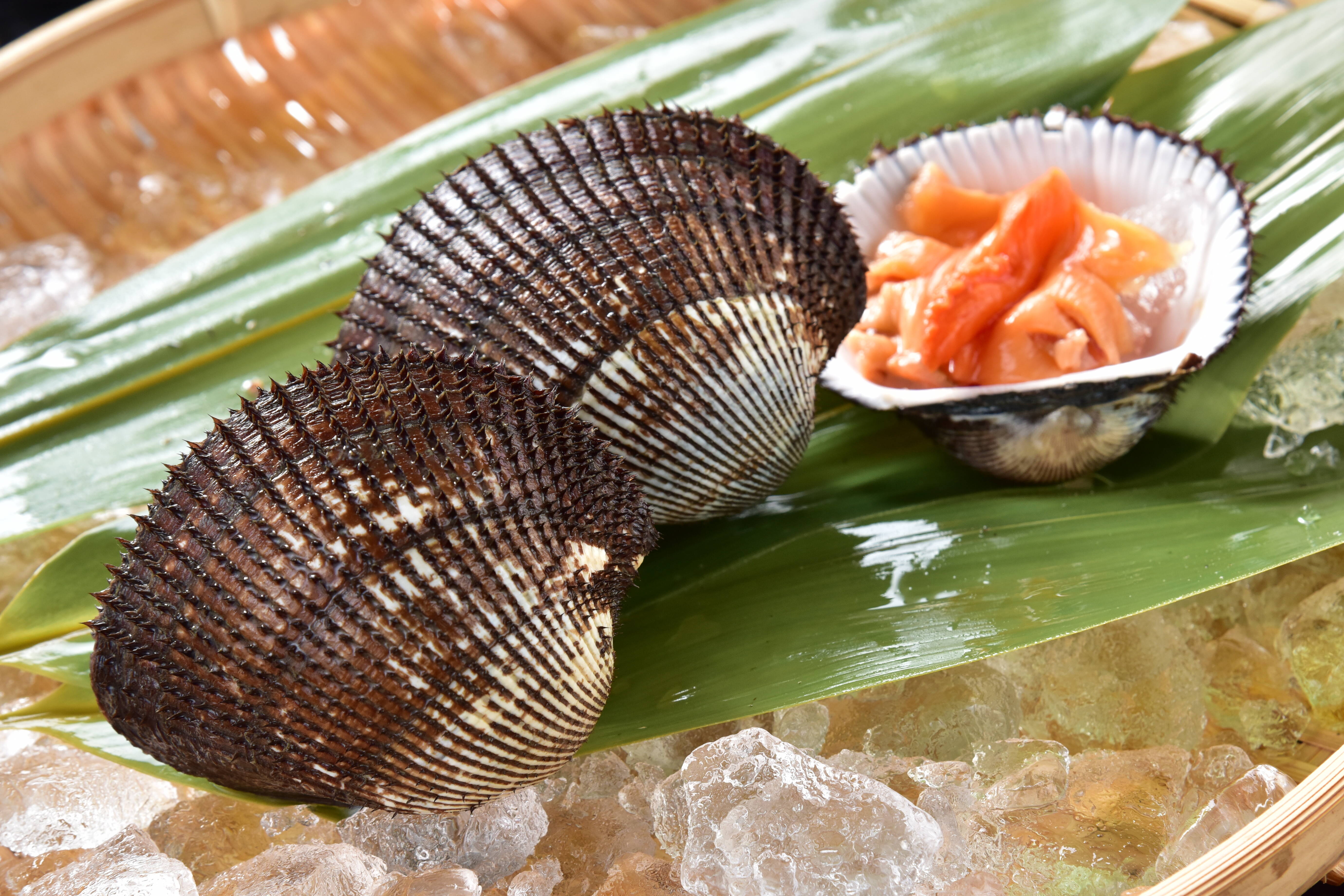 cd09d1928ea2c87e3f6de93c867448