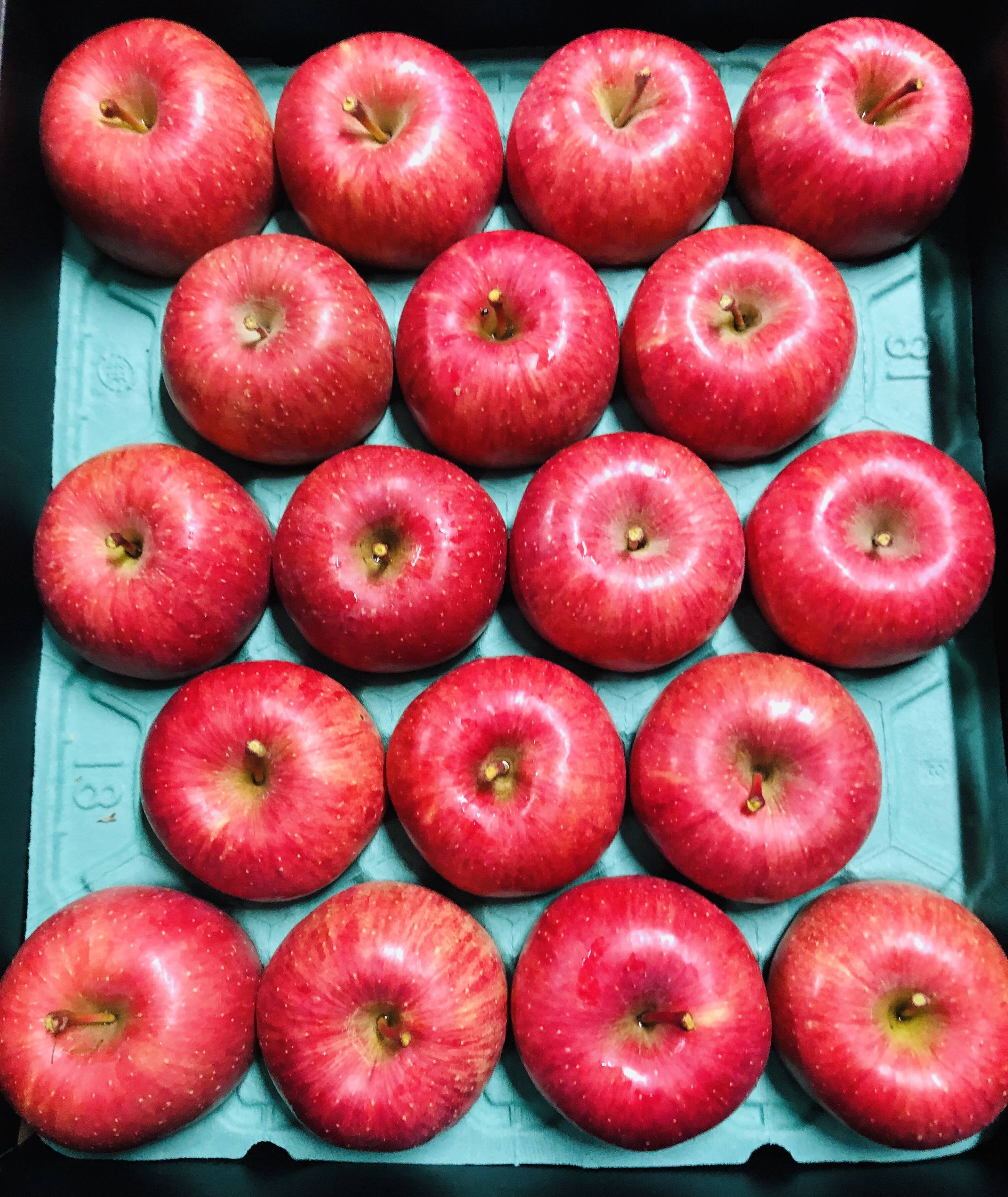 毎年大好評❗️樹上完熟もぎたてサンフジご家庭用約10キロ 蜜