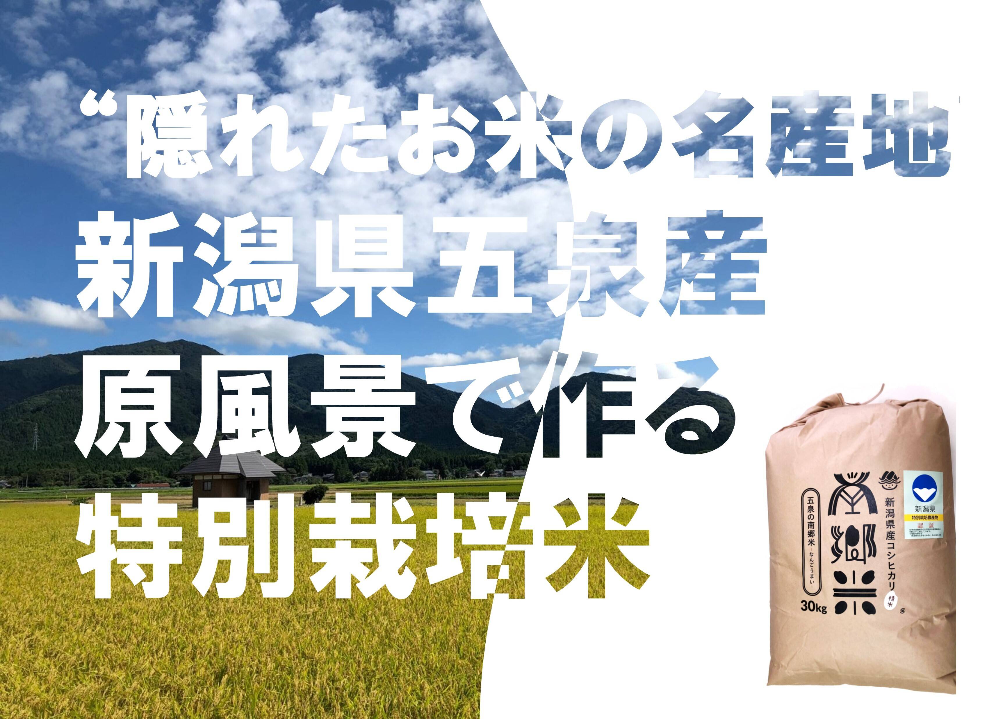 ＊特別栽培米【R5年産】''隠れたお米の名産地''新潟県五泉産コシヒカリ100%「南郷米」精米30kg(擦切り）