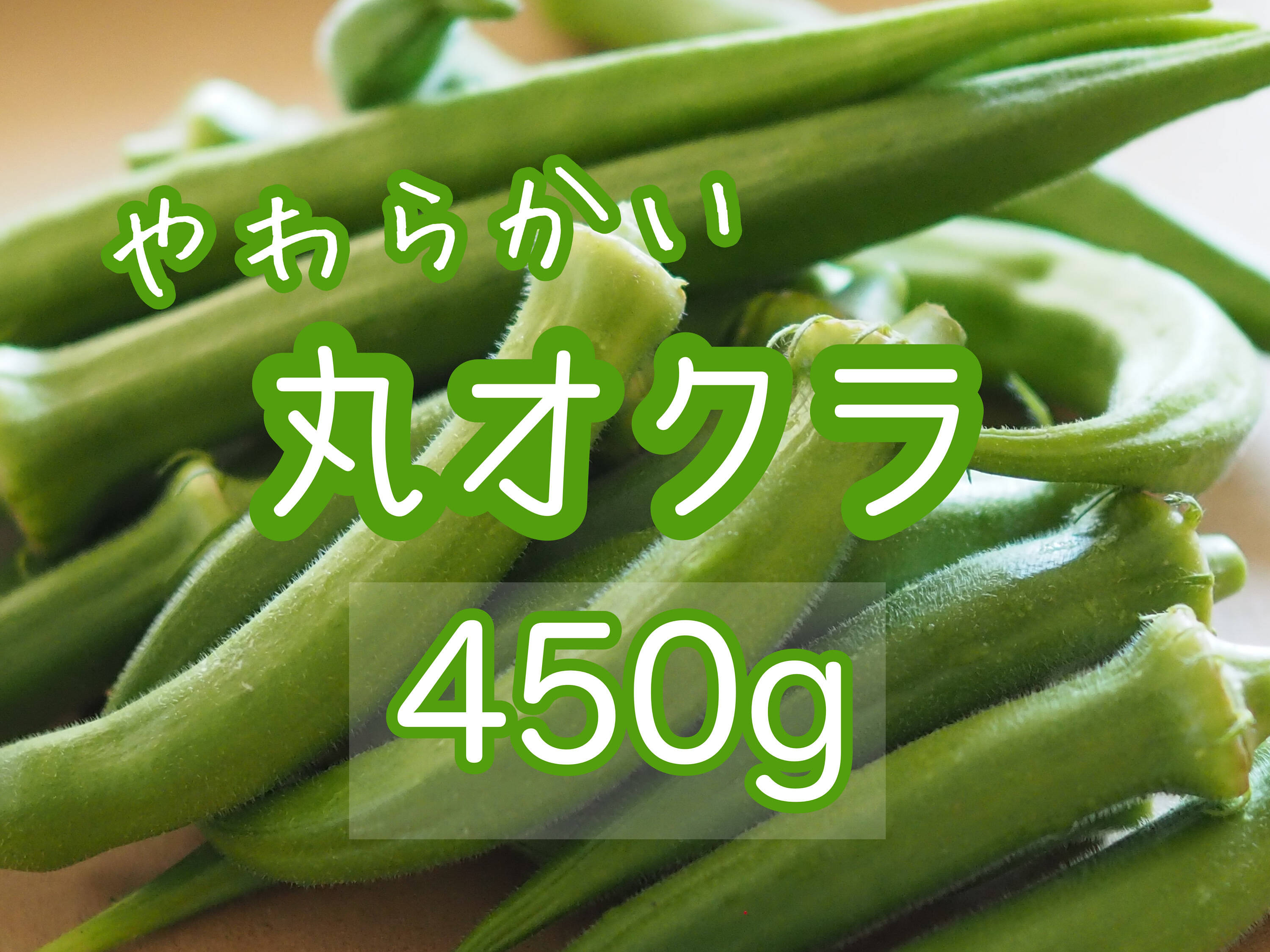 朝取り】やわらかい！丸オクラ（島オクラ）450g：大阪府産のオクラ