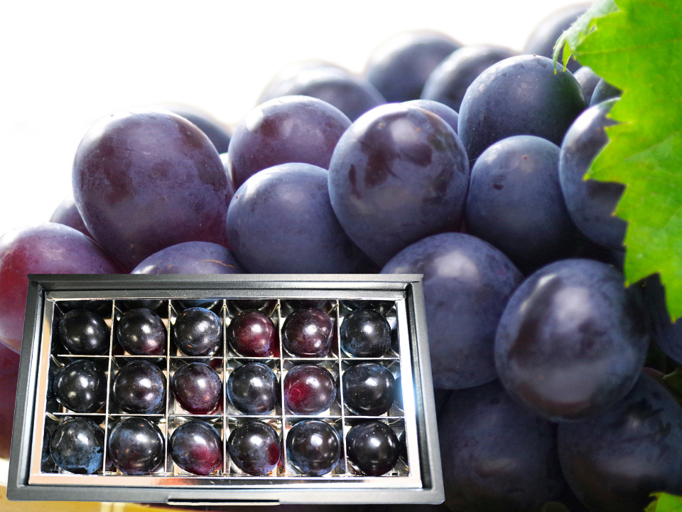 長野県産 ナガノパープル 8袋 箱込み 5.53kg 【楽天市場】ナガノ