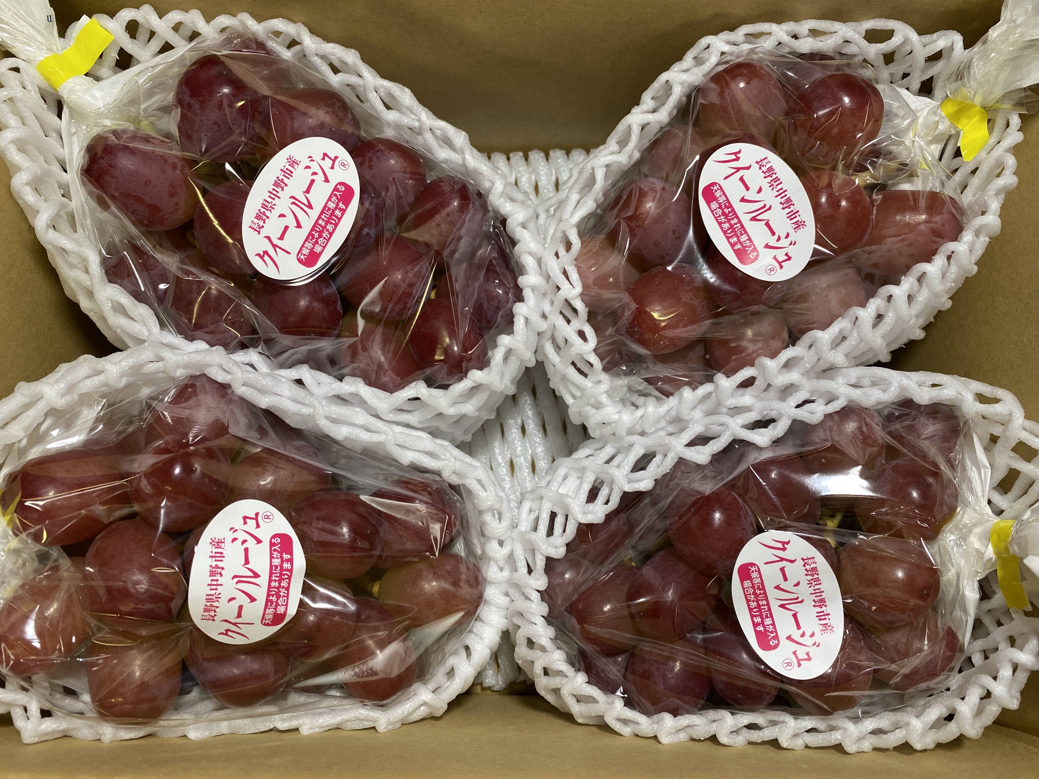 家庭用】クイーンルージュ約2kg(4〜5房)☆長野県限定品種☆発送9月中旬