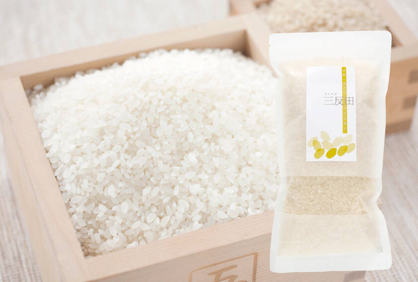 送料込500円】R5年産農薬不使用・化学肥料不使用米お試し