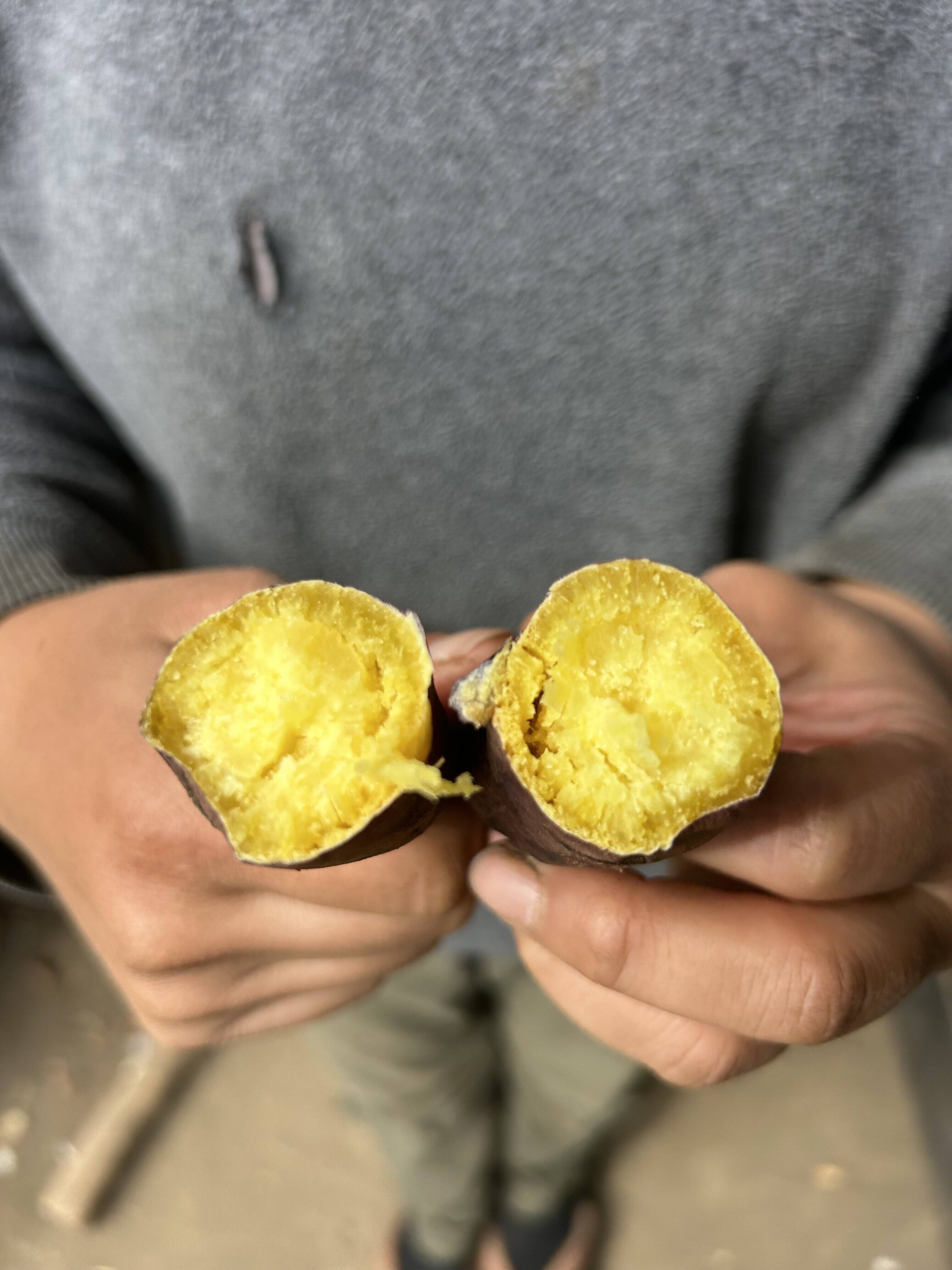 熊本県産オーガニックさつまいも！すずほっくり【万能なホクホク系