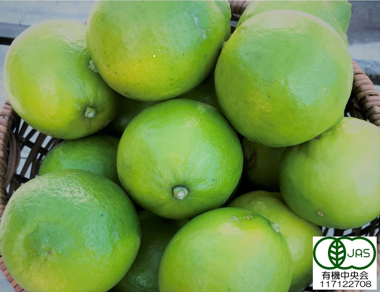 cdf15bb9318032bf20d8fc13872c81