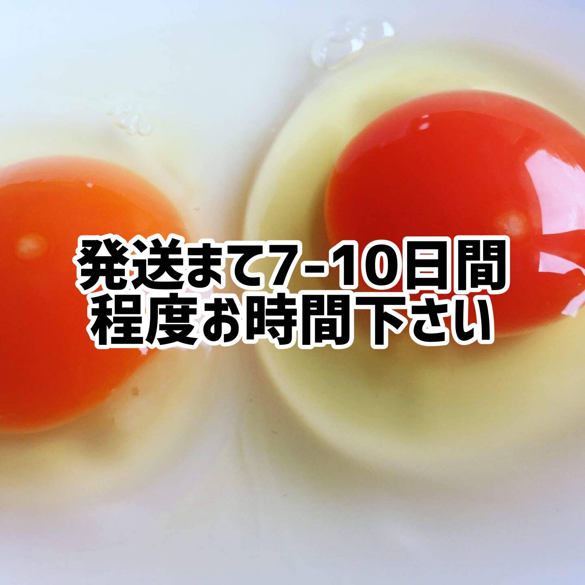 平飼い個 酵母を与えて育った平飼いたまご個 元気たまご 栃木県産 食べチョク 農家 漁師の産直ネット通販 旬の食材を生産者直送