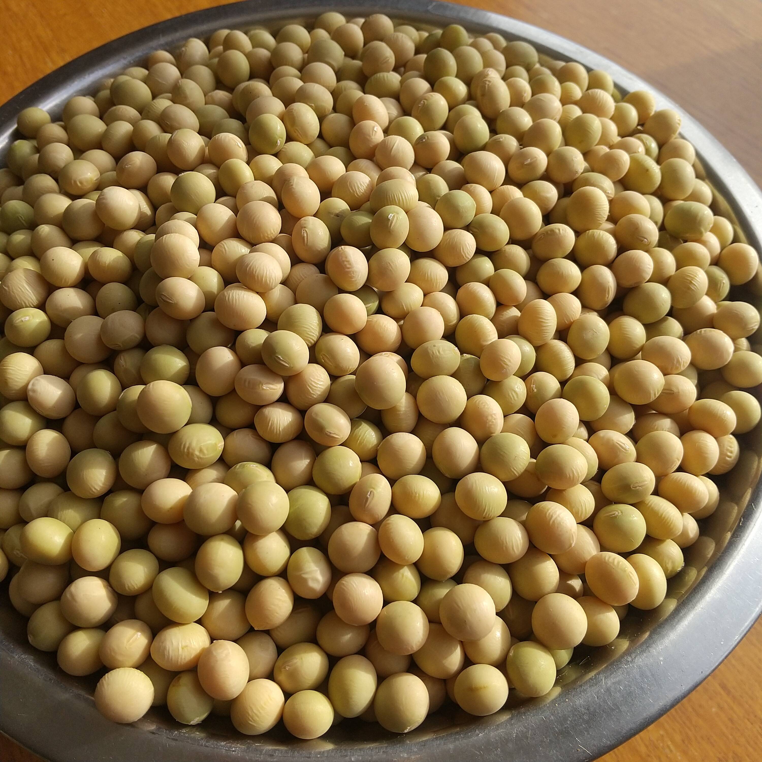 大人気 北海道産 大豆 25kg 匿名配送 自家製 味噌 納豆 豆腐 豆乳 大人気 北海道産 大豆 25kg 匿名配送 自家製 味噌 納豆 豆腐 豆乳