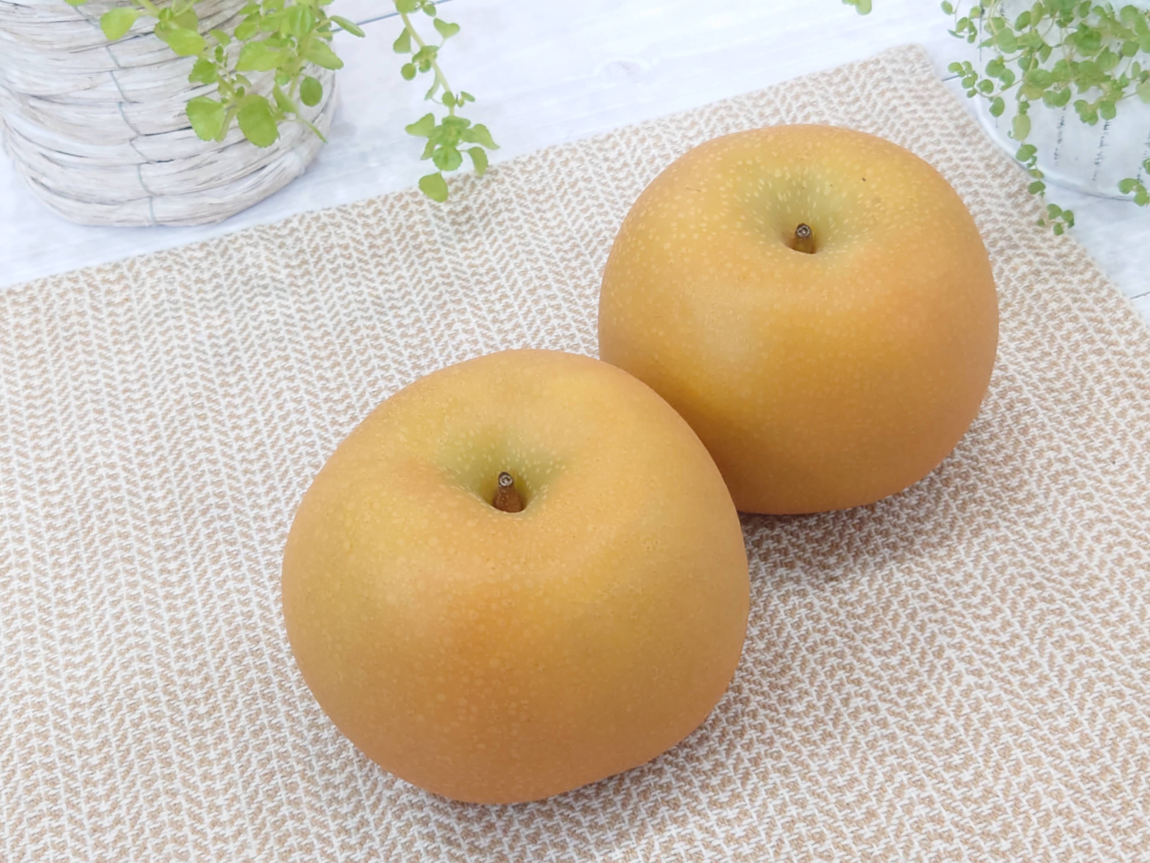 食味新世代！新潟限定生産「新王」約3kg：新潟県産の新王｜食べチョク