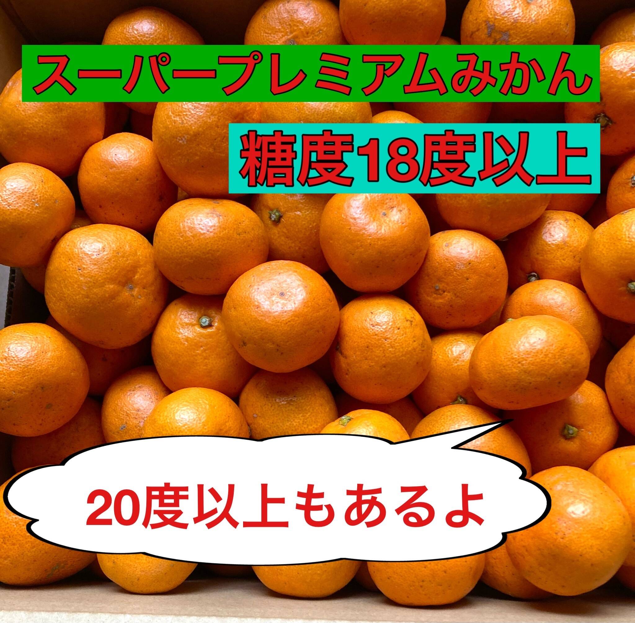 糖度18度以上】濃厚・絶品スペシャルなプレミアム小玉早生ミカン 3kg