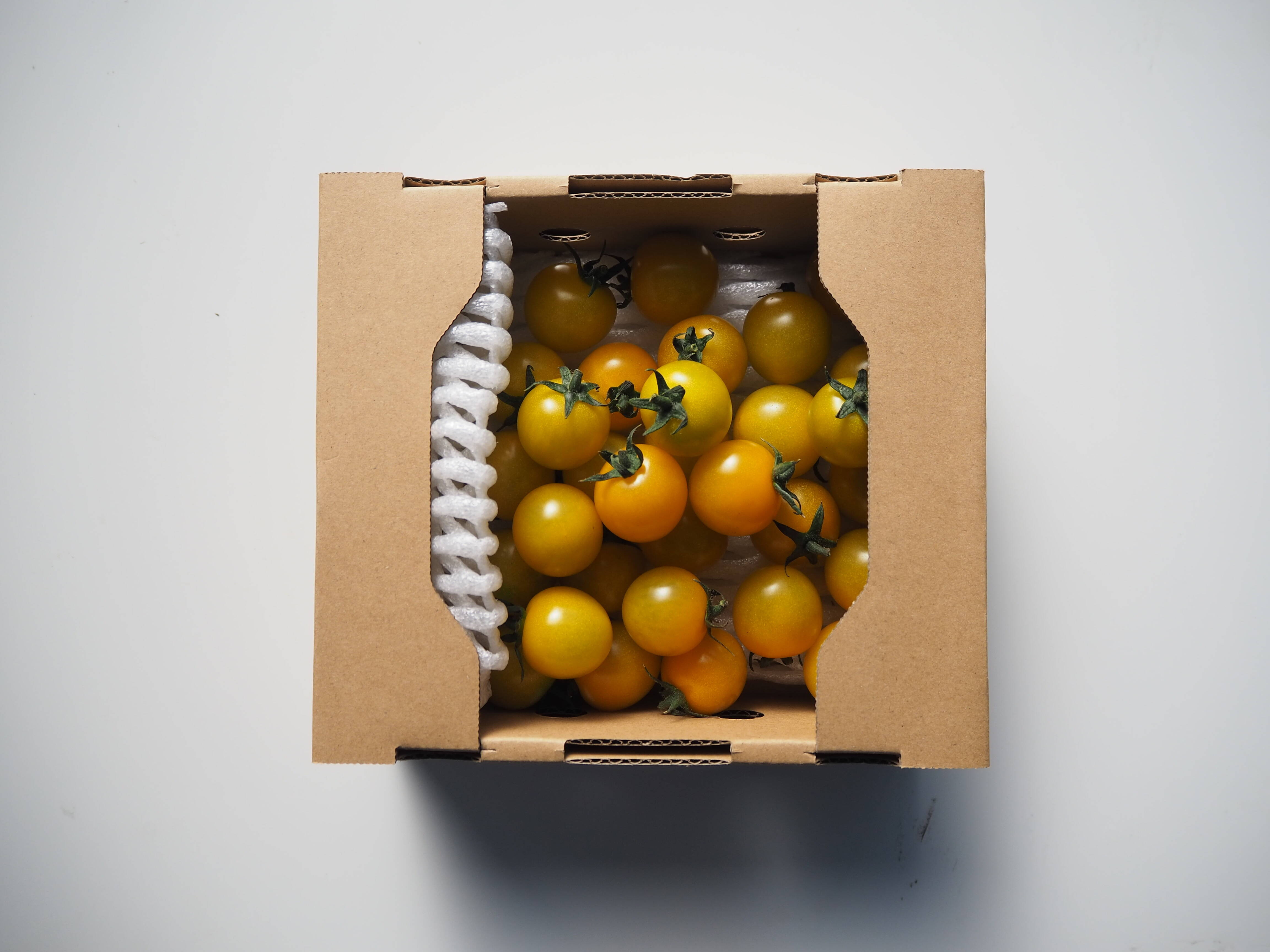 黄色ミニトマト 500g【フルーツのようなあっさりとした甘み】熊本県産