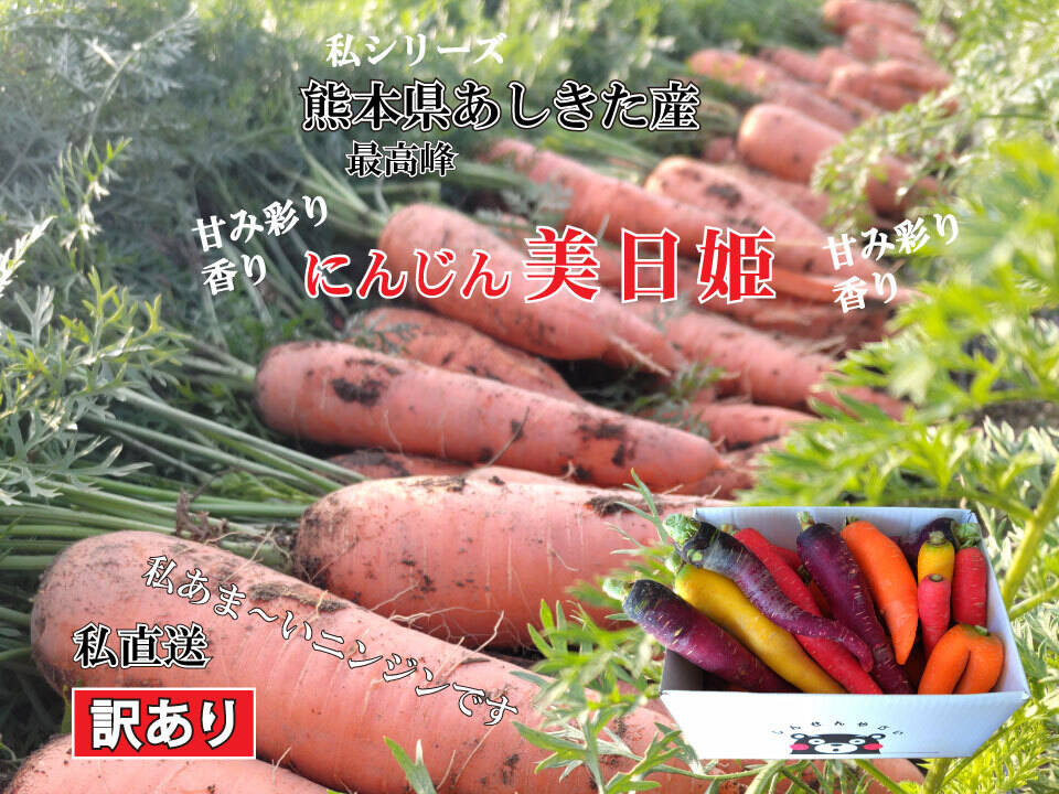 熊本県芦北産甘いフルーツにんじん「食べ比べ」アロマレッド【訳あり