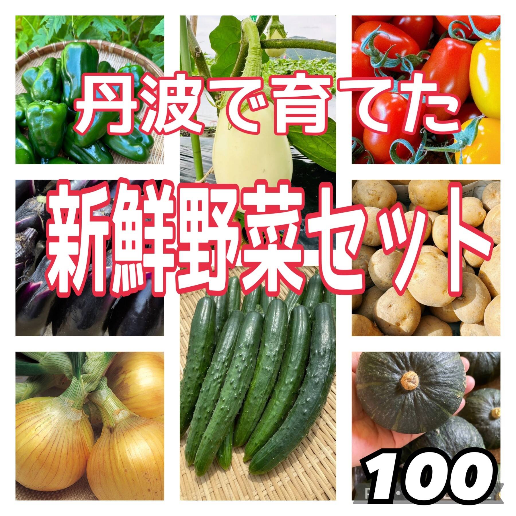 旬のお野菜セット‼️：兵庫県産の野菜セット｜食べチョク｜産地直送