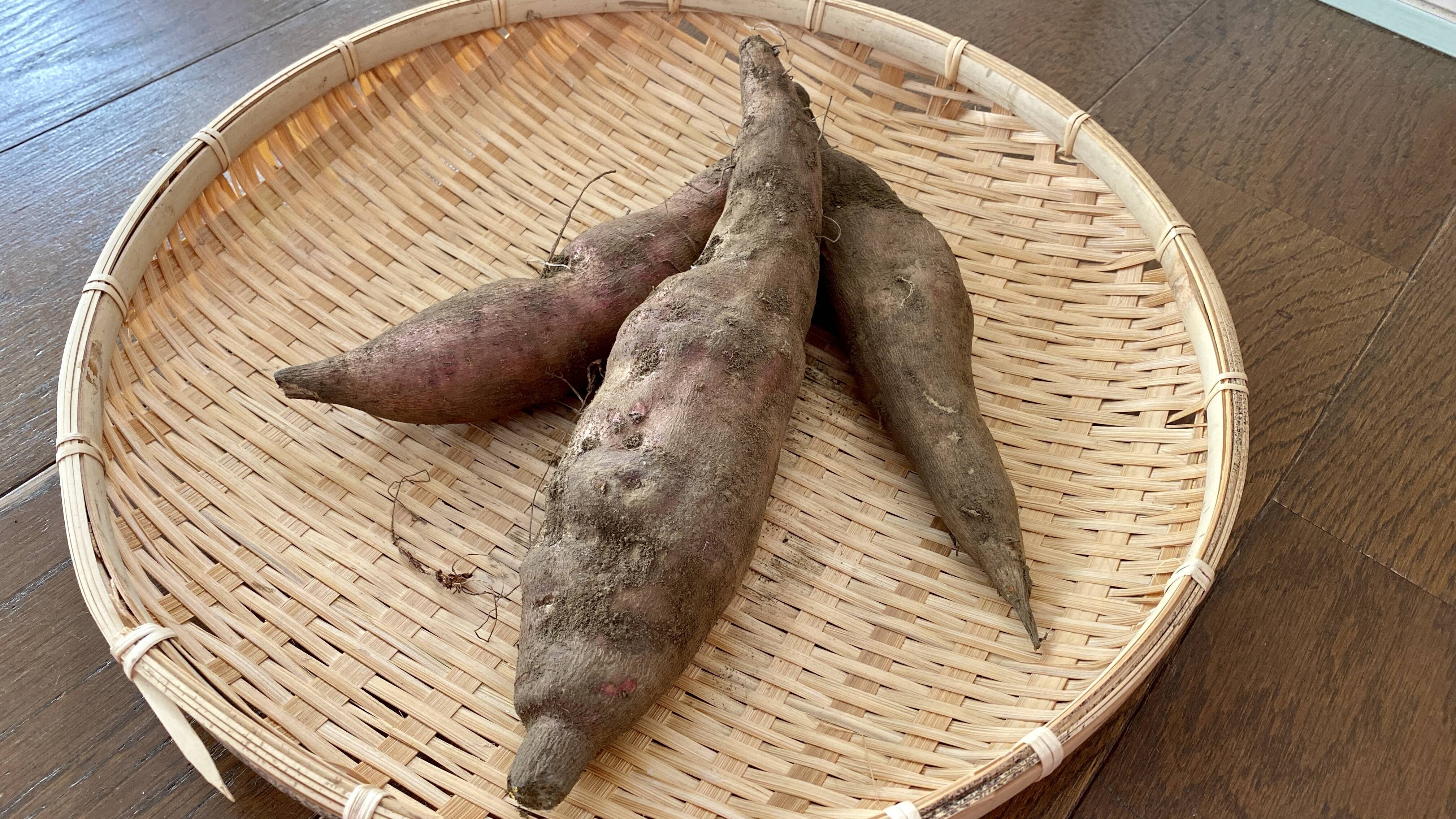 沖縄県産 キャッサバ 芋 （白） - 野菜