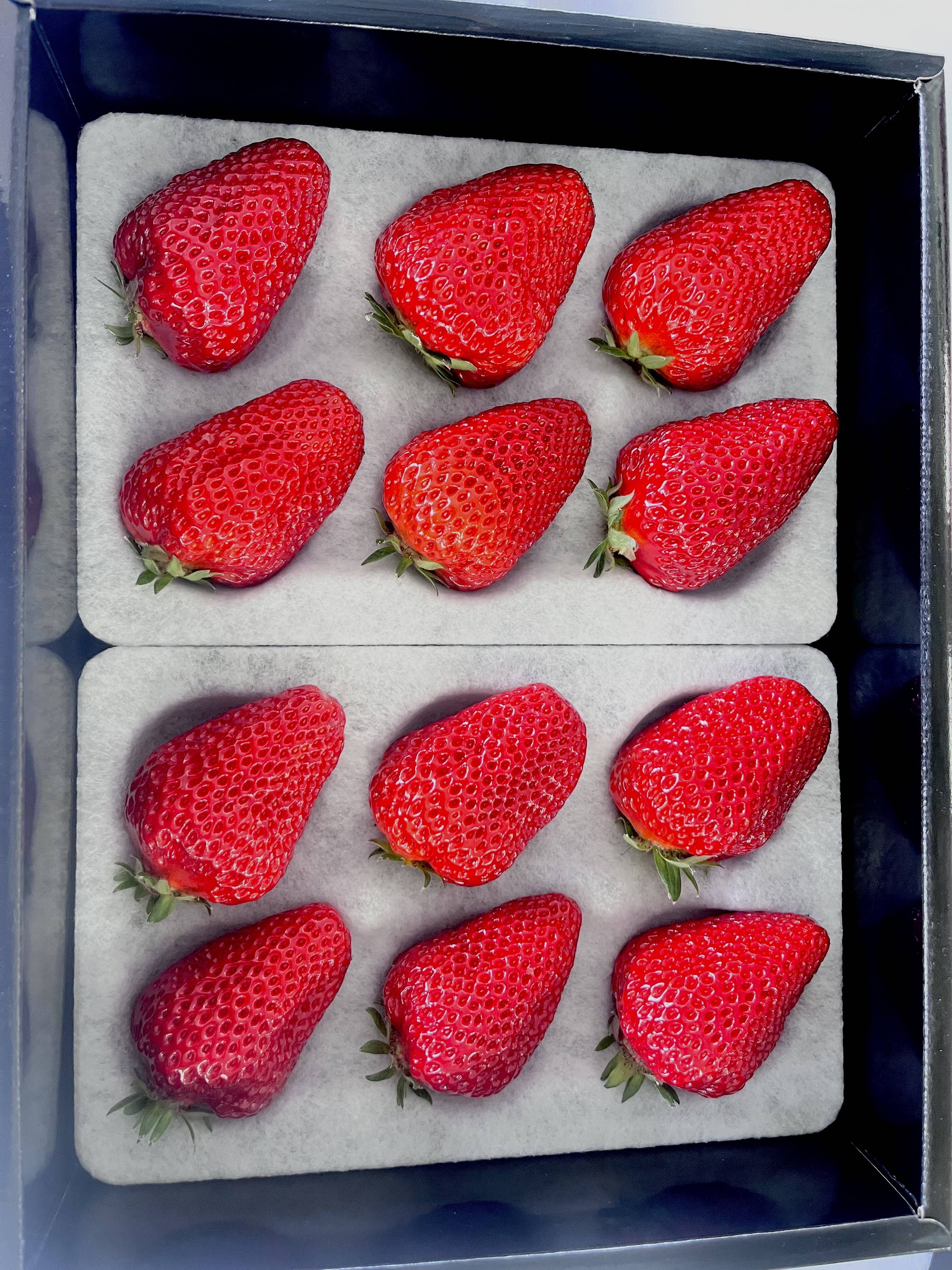 🍓食べチョクいちごグランプリ2026 銀賞受賞！🍓濃い味！The Berry