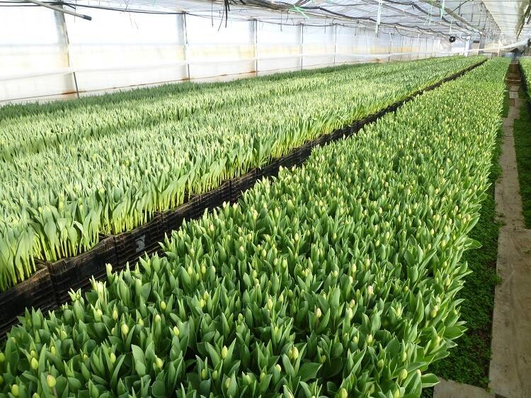 cee35623867555d57525f05e0c3037