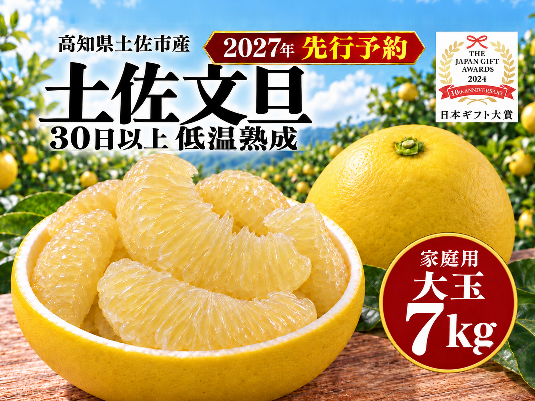土佐文旦 大玉7kg 家庭用｜ひと房ごとの食べ応え｜約12～17玉｜発祥の