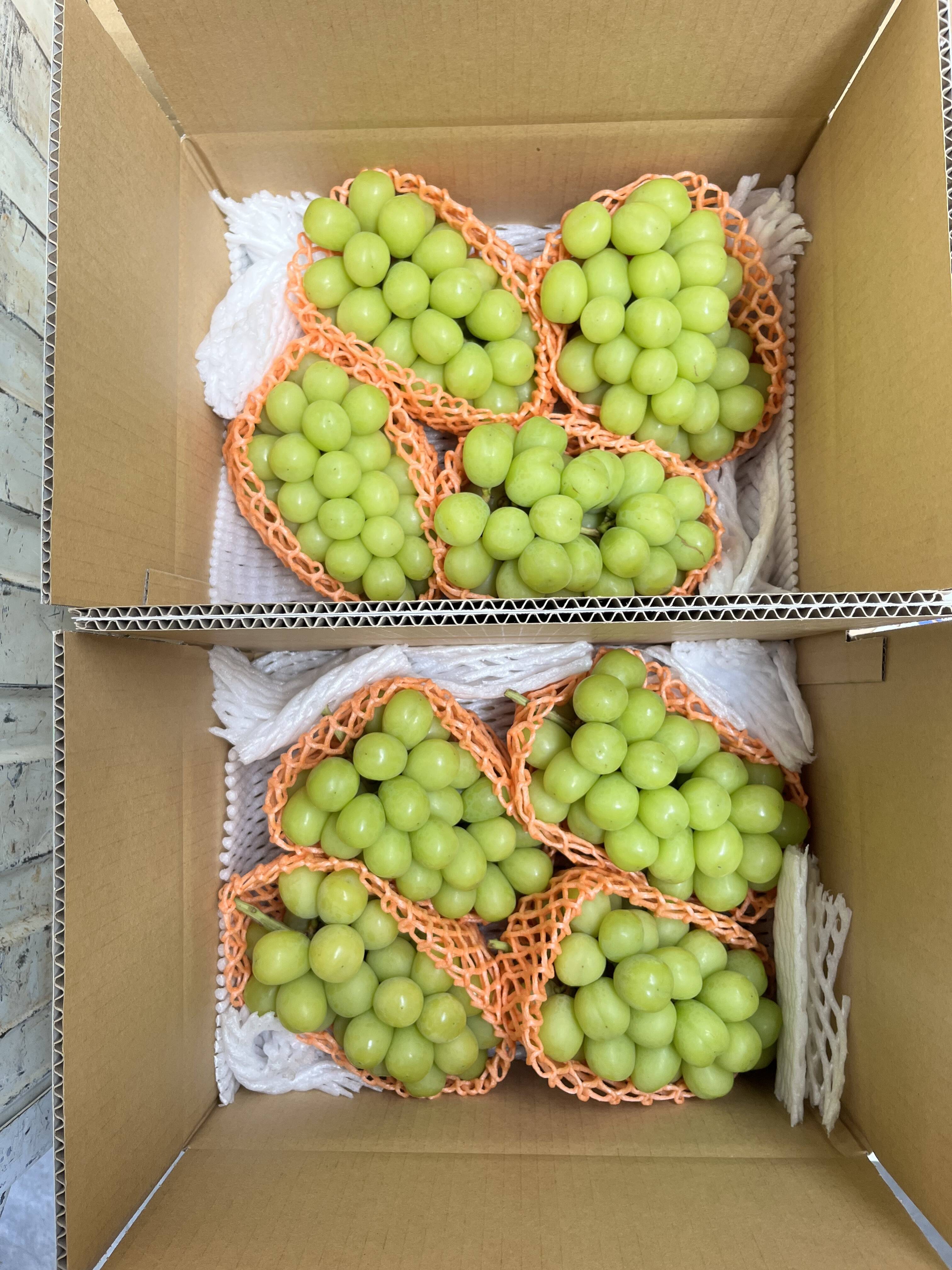 cf7125ba505ce97e5c5aa9ceefa6b1