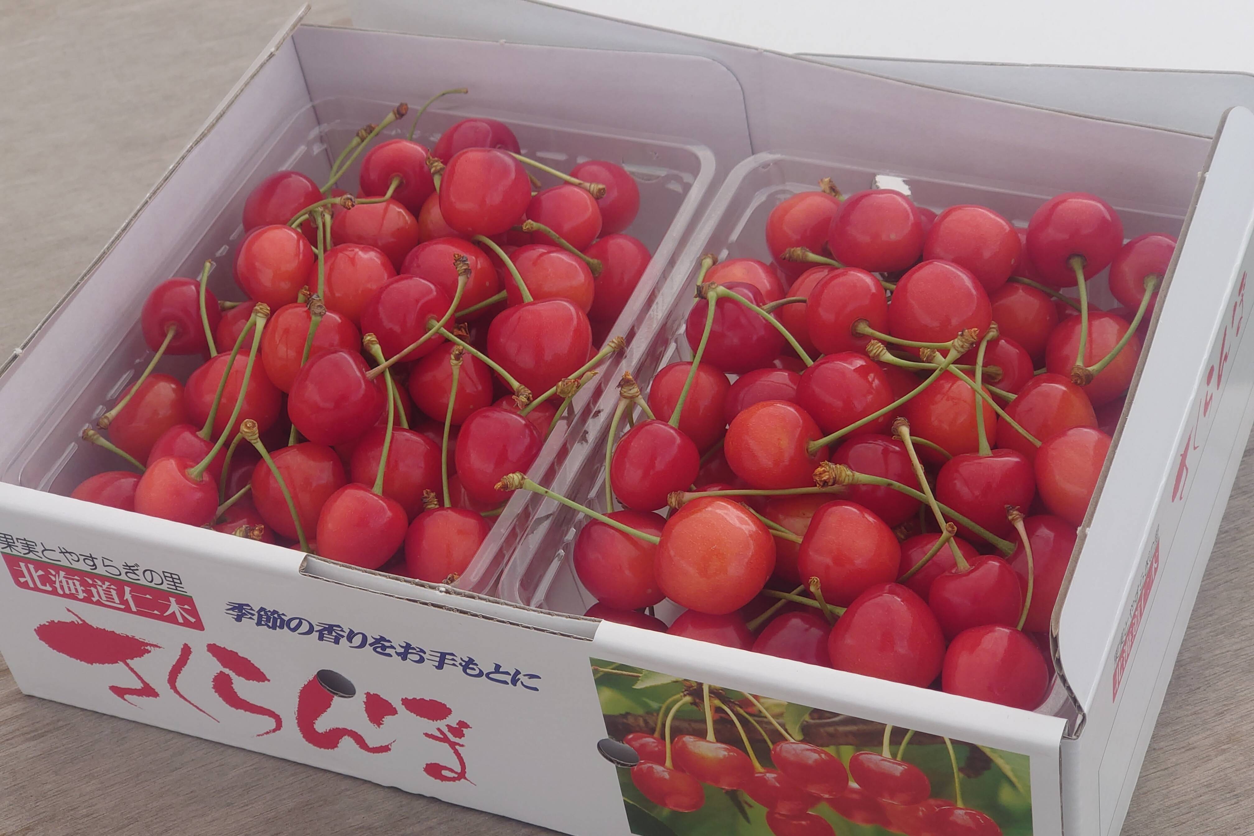 朝採り大トロー！うりきれ必至！訳あり紅秀峰もりもり詰め①！ 最上屋がお届けする山形のさくらんぼ「紅秀峰1kgバラ詰め