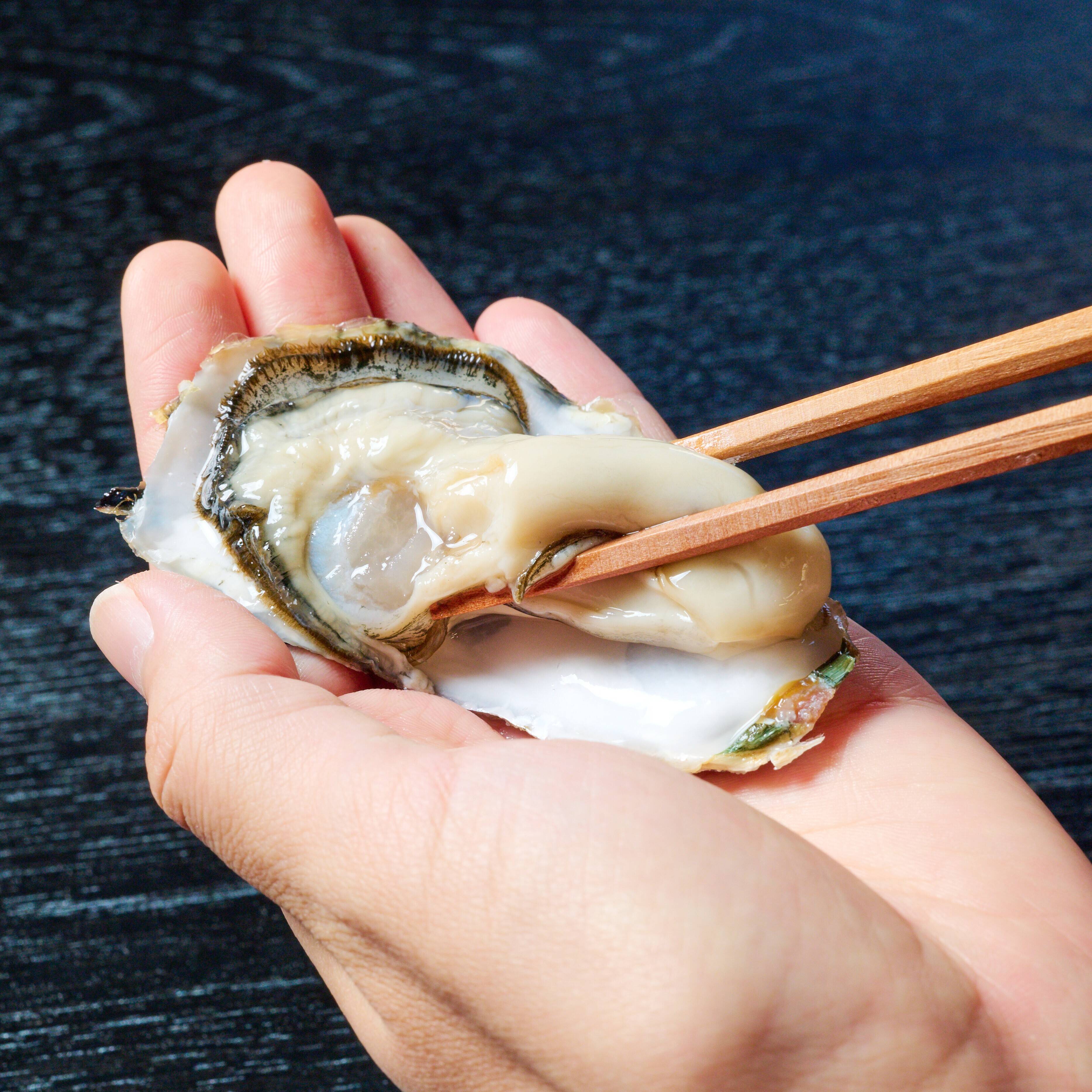 牡蠣たん 広島産 冷凍かき Lサイズ NET800g ( 牡蠣 / かき / カキ