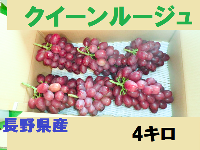 クイーンルージュ 4キロ：長野県産のシャインマスカット｜食べチョク