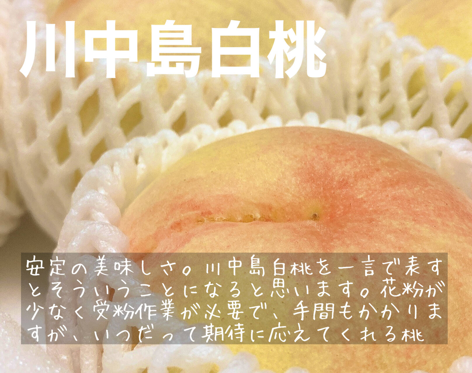 d00810b2ffd83d998fc15fde3b8845