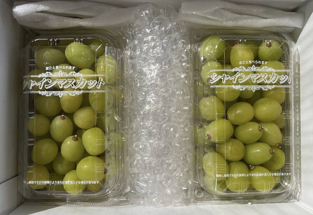 シャインマスカット粒3キロパック入りになります。 家庭用】 山梨県産 シャインマスカット 粒パック 約750g×2パック