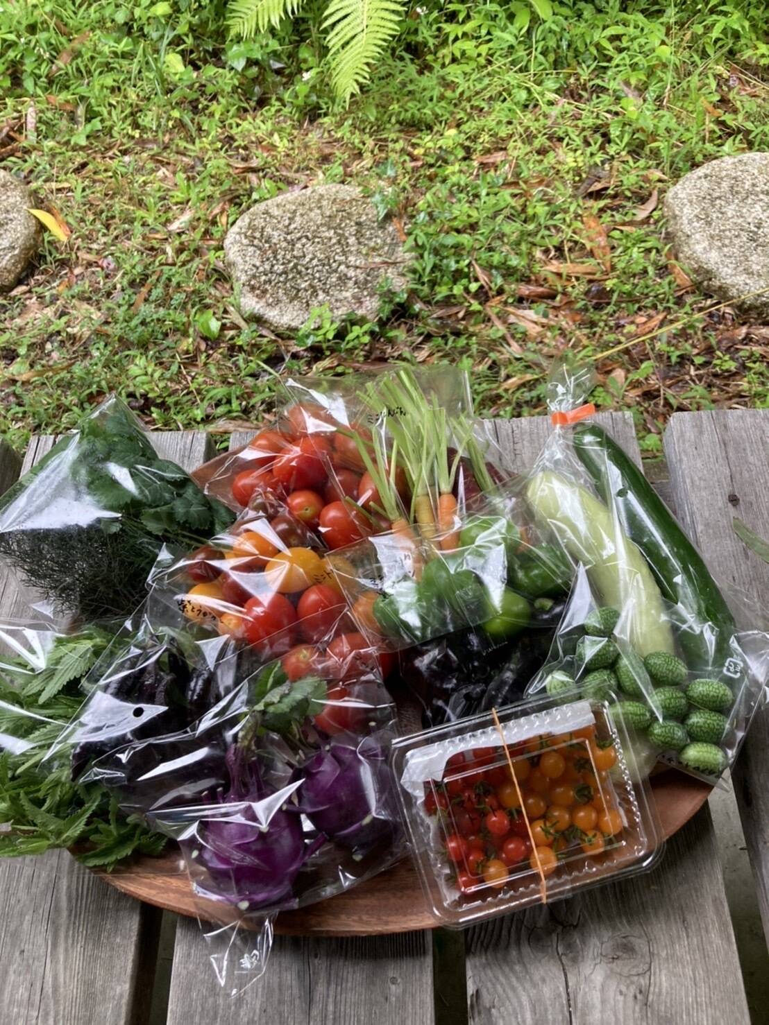 野菜 期間限定】【神戸カフェスタイル】【プロ仕様】カラフルミニ野菜セット