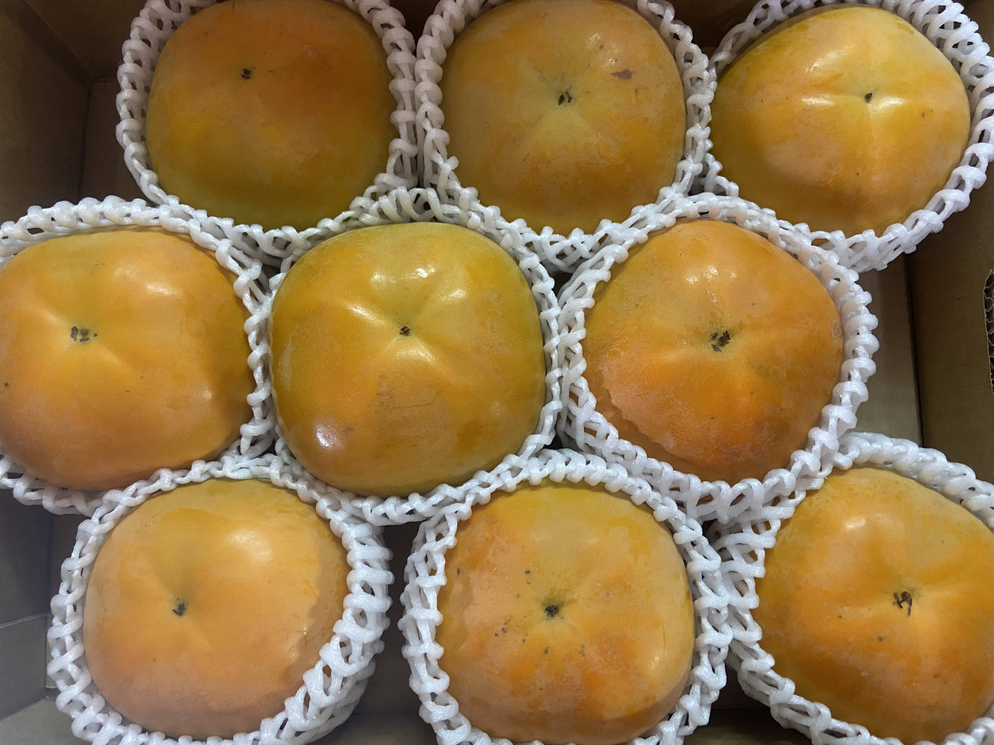 サクサク食感！人気急上昇中の太秋柿3キロ：福岡県産の太秋｜食べ