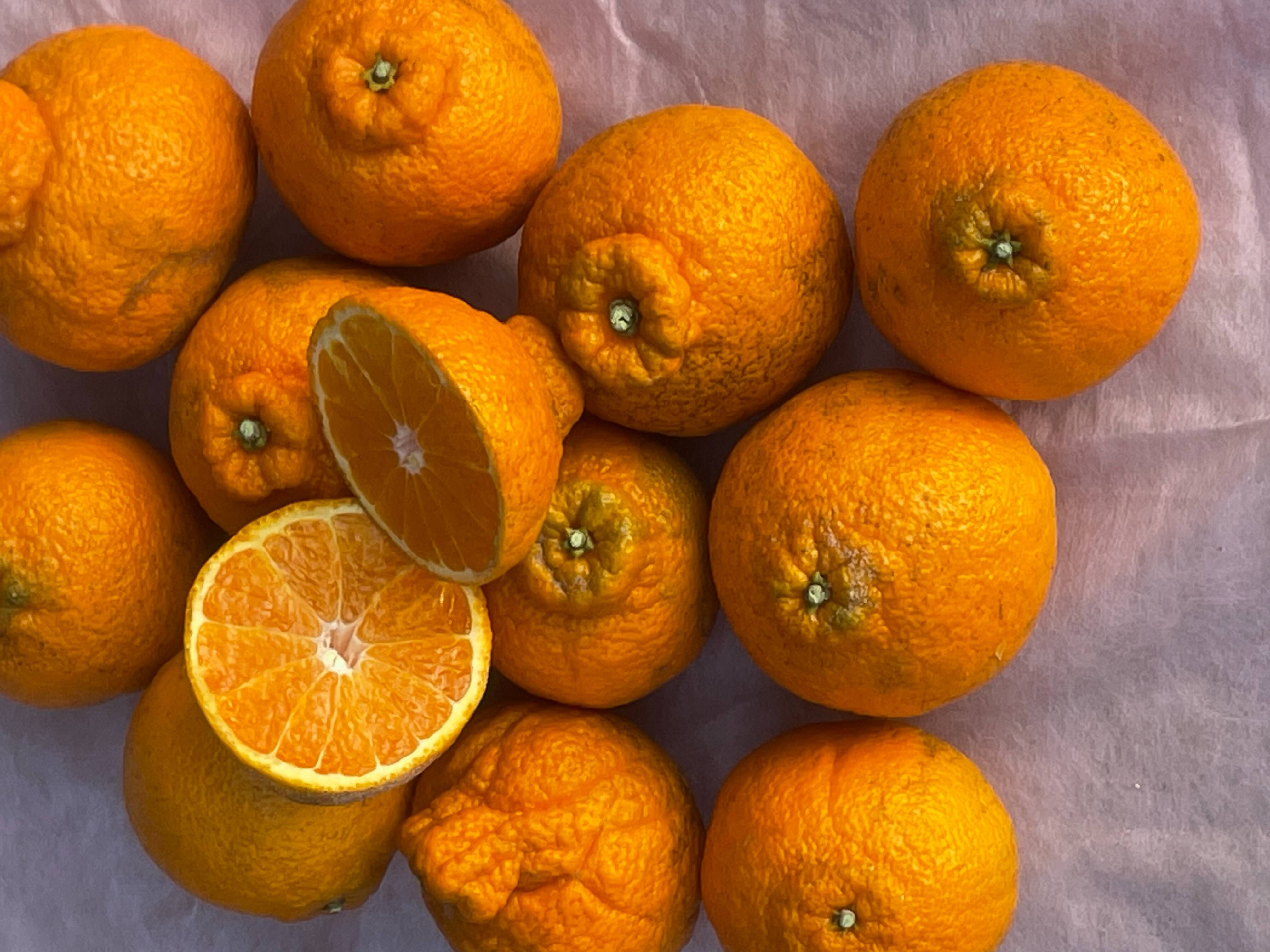 まるたま訳あり不知火（デコポン）箱込5kg：和歌山県産のみかん