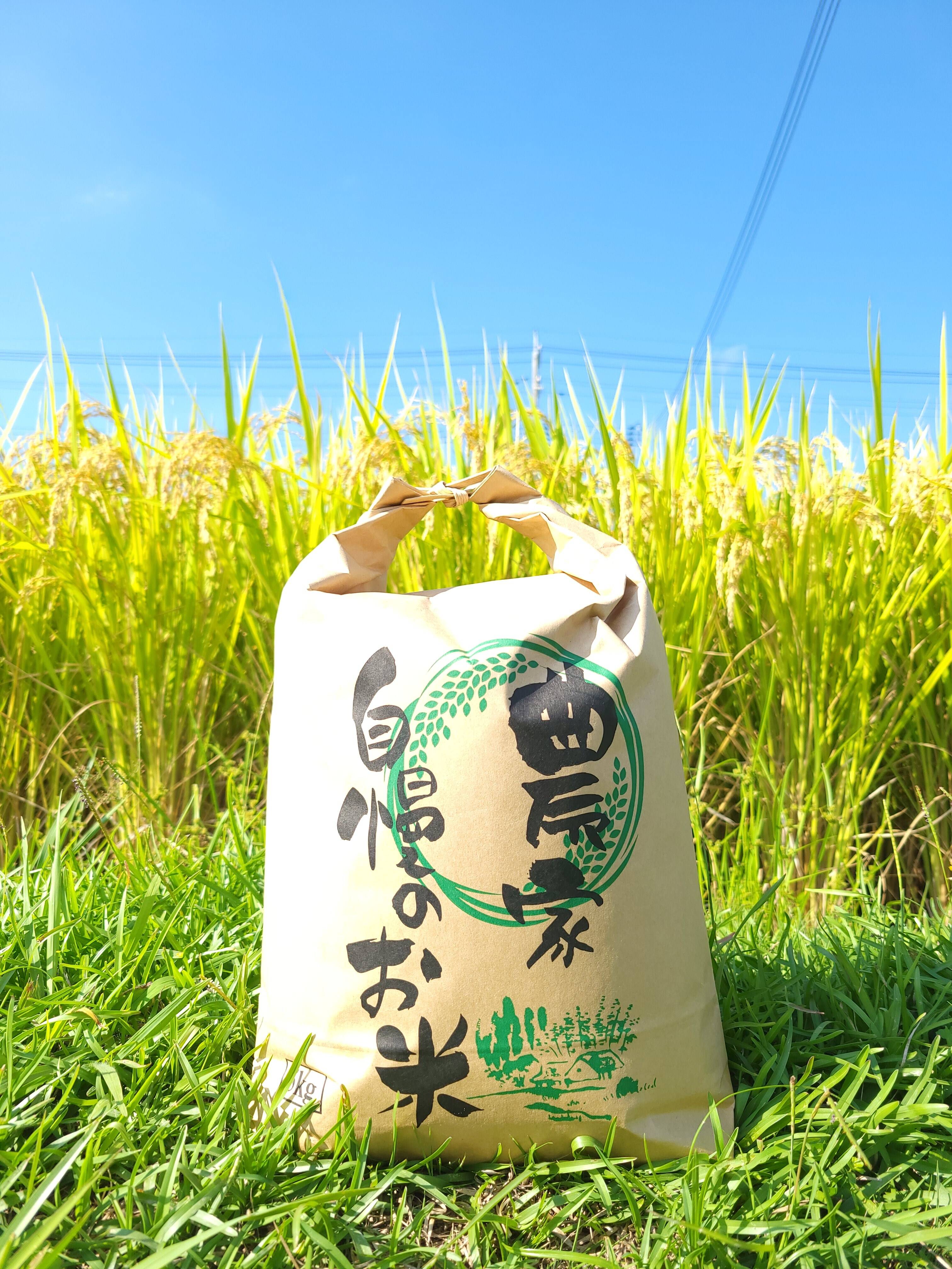 令和4年度 栄ちゃんのこだわり米【コシヒカリ】5kg(一等米)：岡山県産 