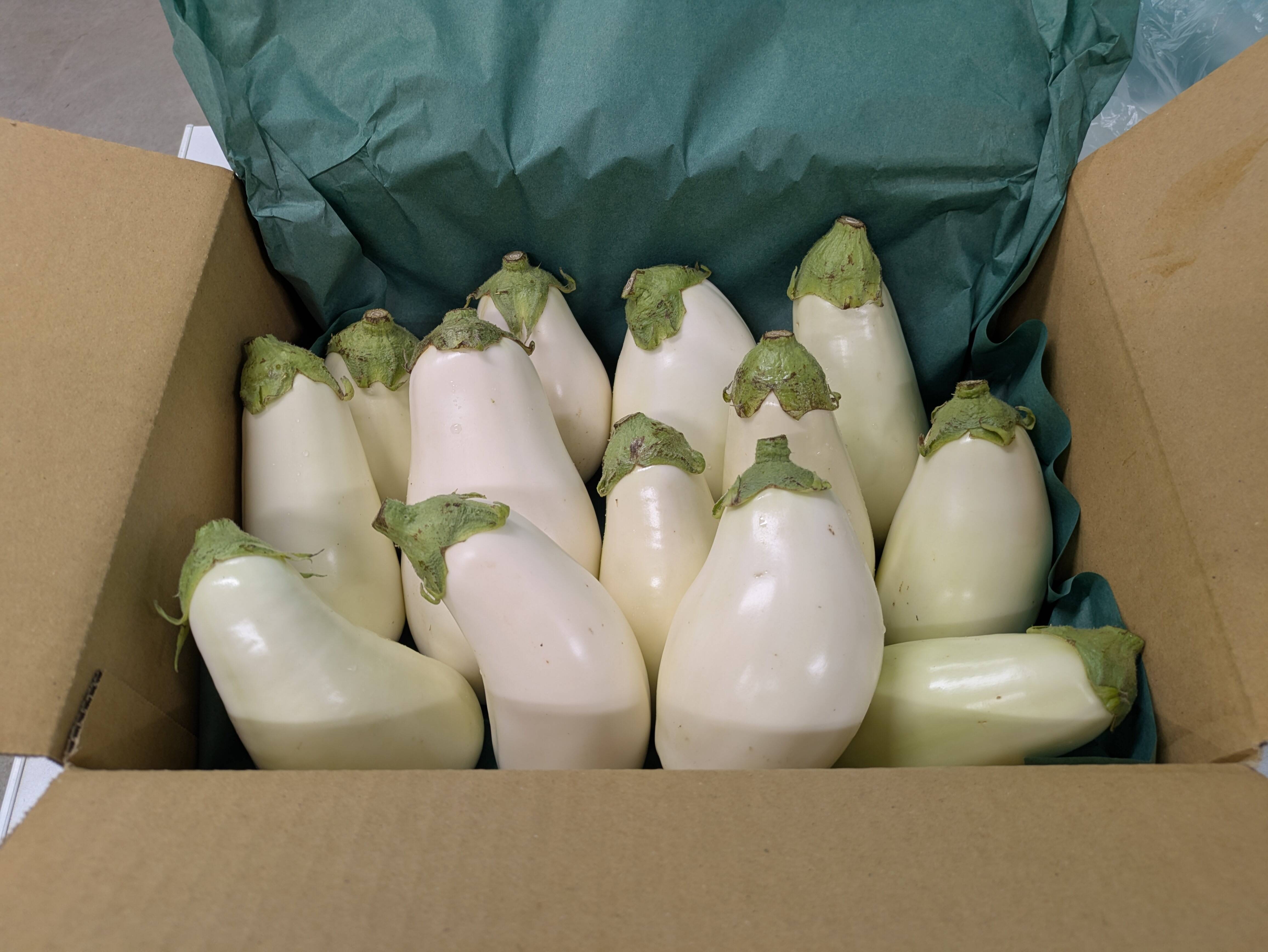 これで良いやん！B品白なす！満腹3kgセット！10～15本：高知県産の