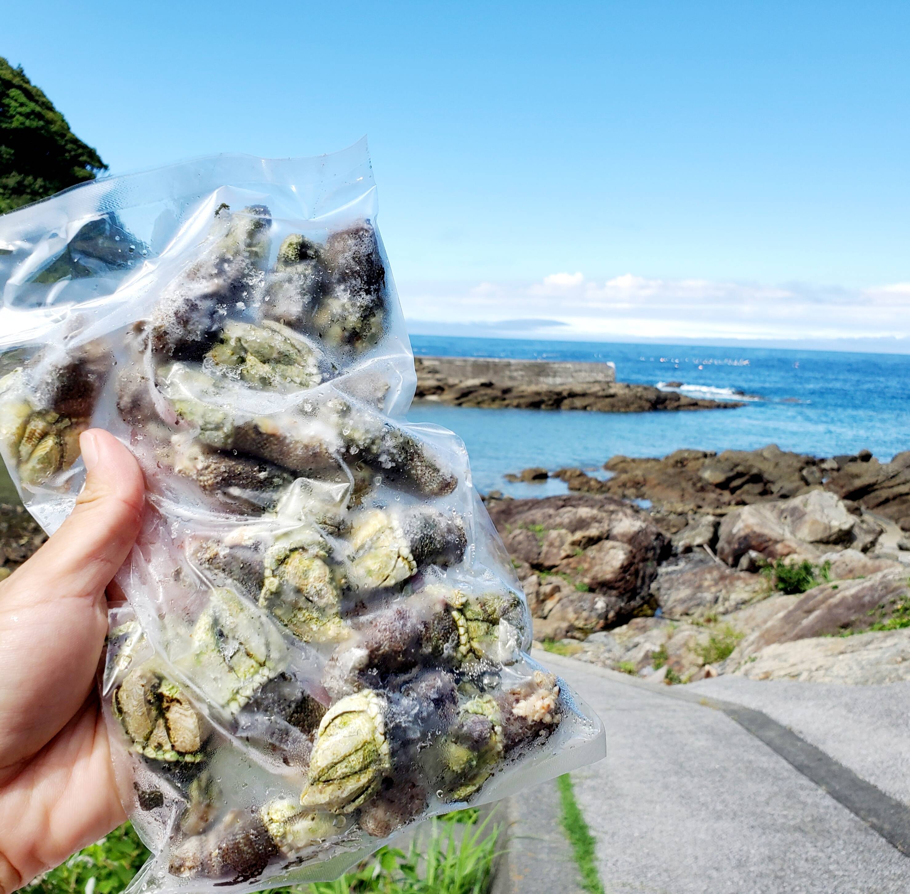 便利なカメノテ ボイル済みカメノテ 深島みそ付き 深島の幸 大分県産 食べチョク 農家 漁師の産直ネット通販 旬の食材を生産者直送