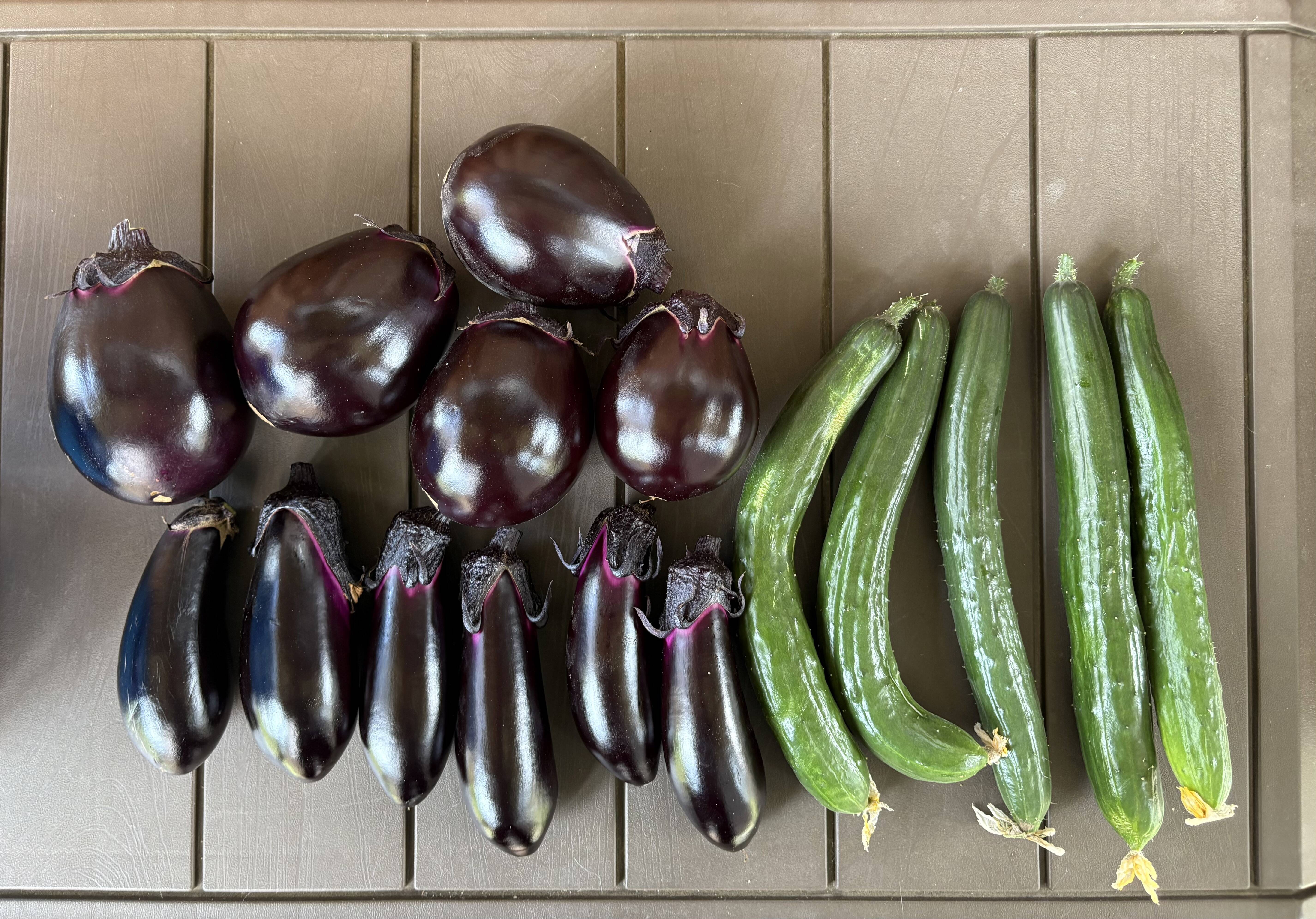 完全数量限定 農家の気まぐれ朝採れ野菜(80サイズ) ホントに今朝採って