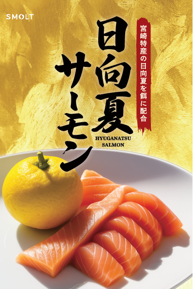 あっさりとした脂乗り！日向夏を餌に配合した「日向夏サーモン」（お