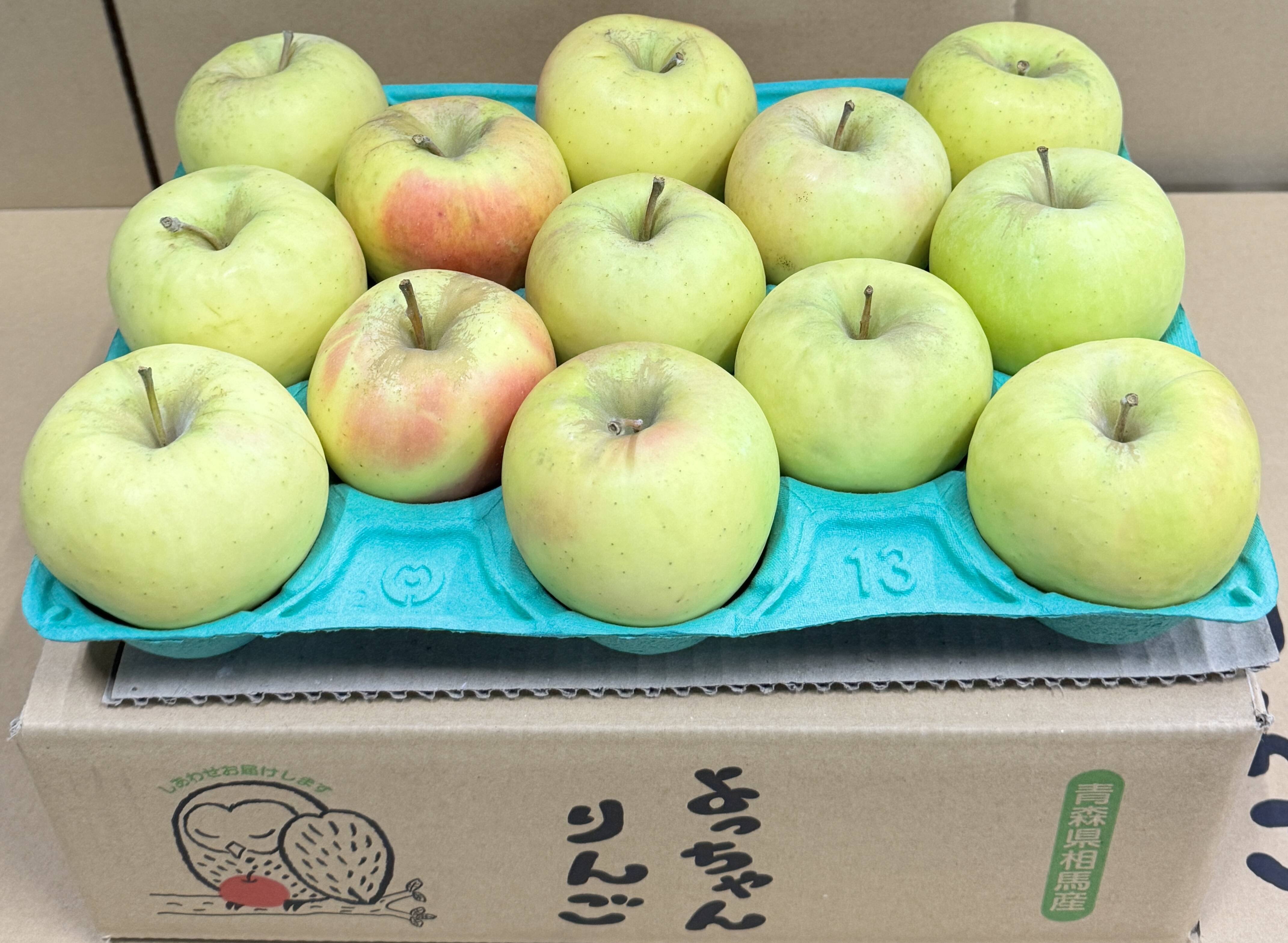 お手頃・小玉】ぐんま名月 カワイイ小玉💛家庭用約2.7Kg🍏 青森県産