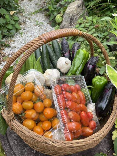 にんにく(白黒)＆極甘ミニトマト1kg季節野菜セット(枝豆入)：秋田県産