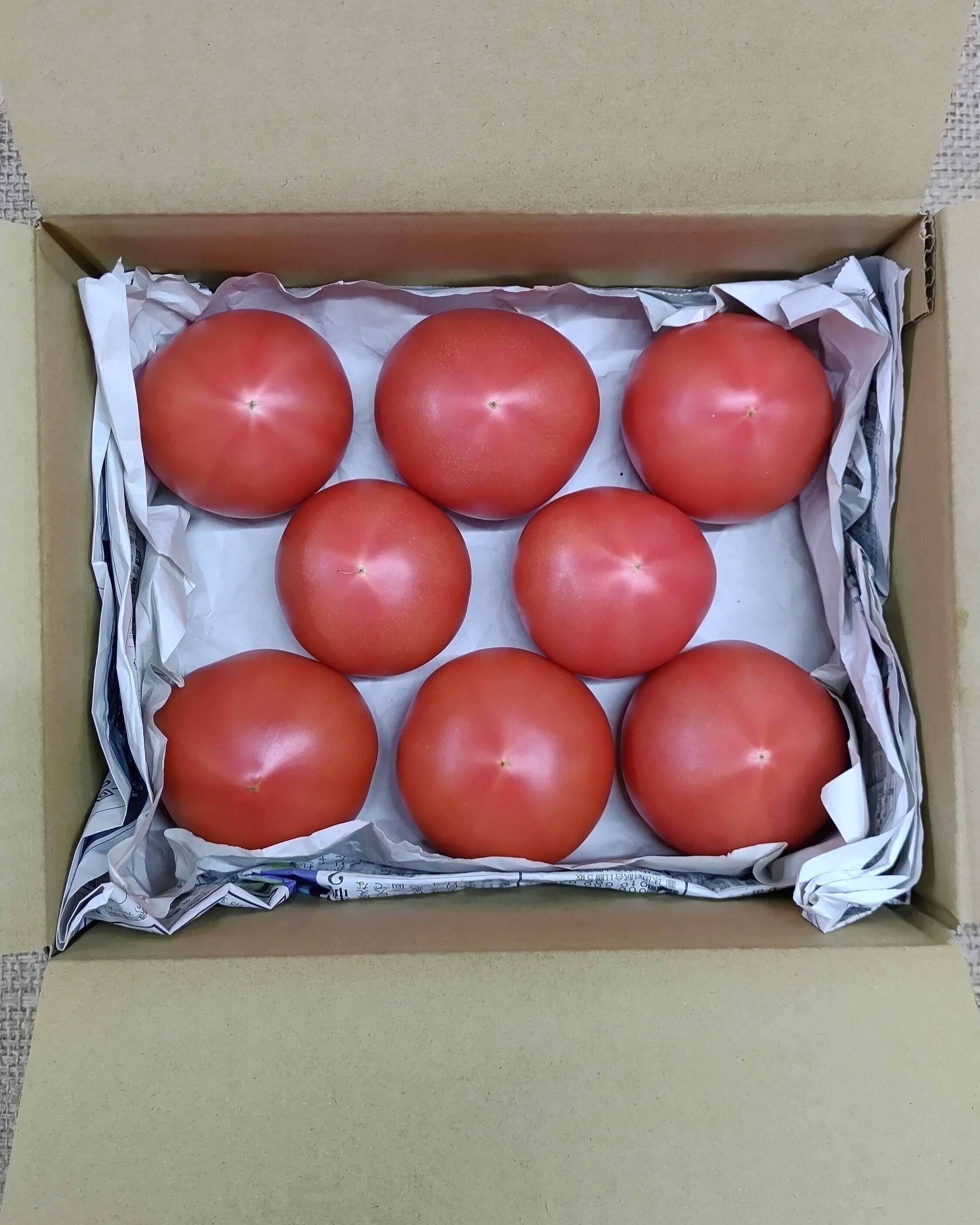 へなちょこ様 麗夏トマト8キロ 佃煮6 へなちょこ様 麗夏トマト8キロ 佃煮6 へなちょこ様 麗夏トマト8