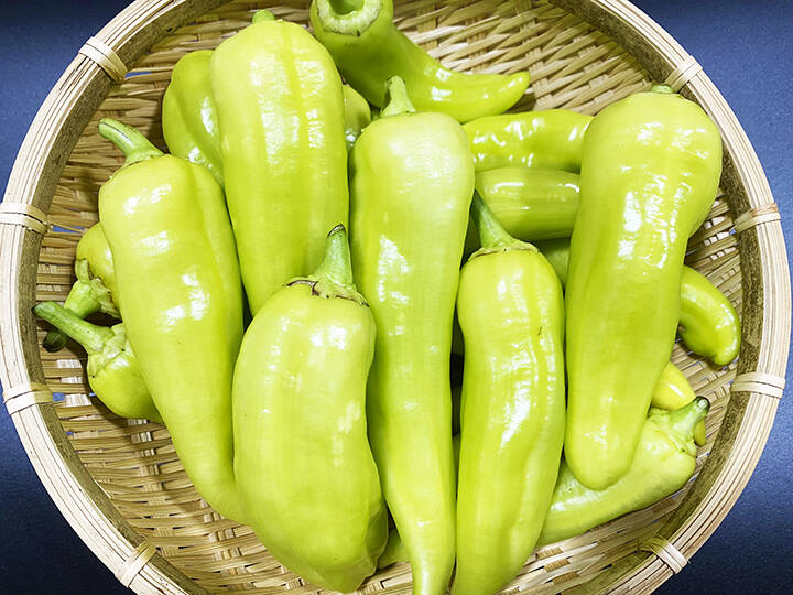 苦みが少なく食べやすい！ライムホルン（約400g）農薬・化学肥料不使用