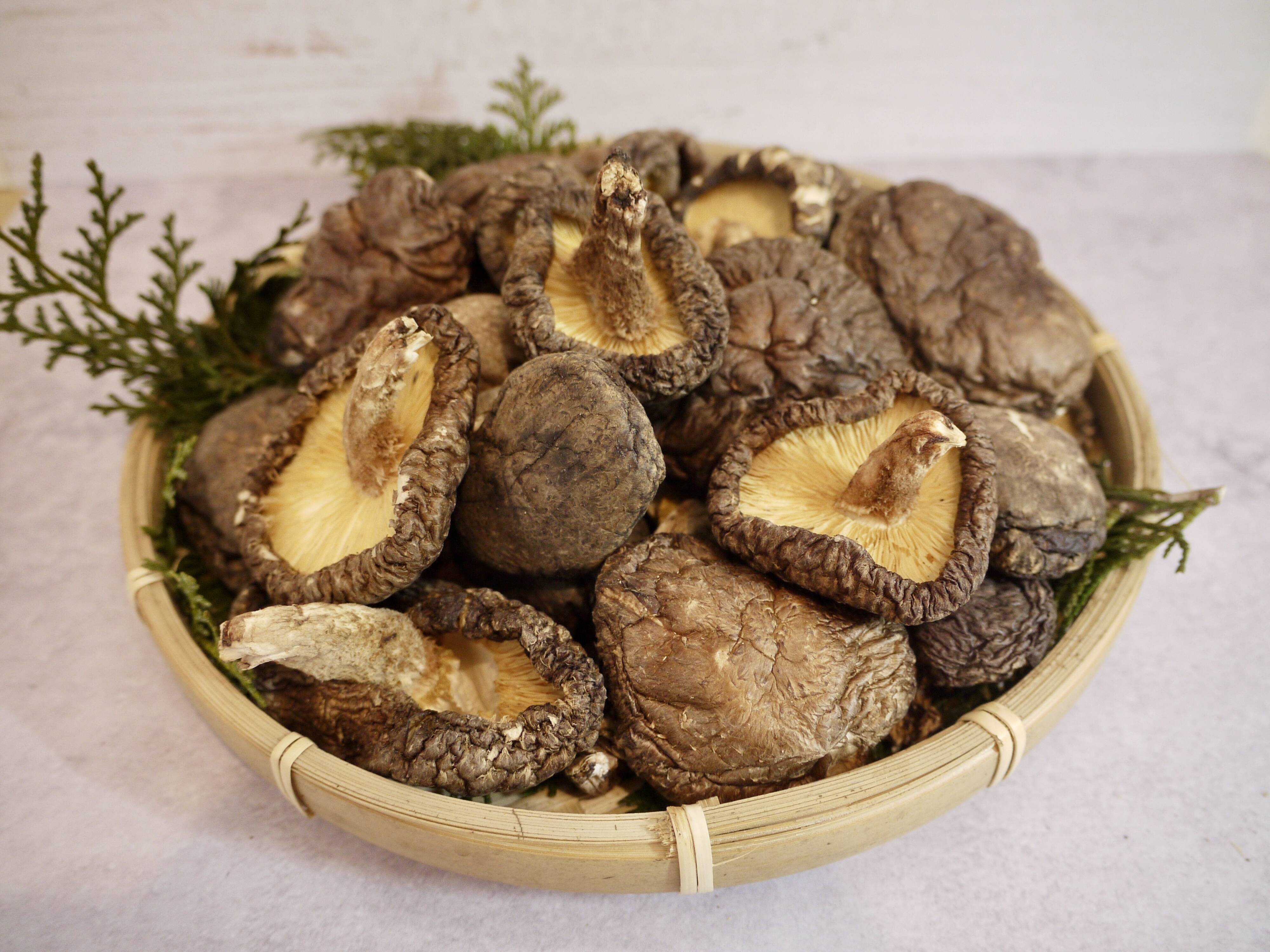 採れたて秋子】うまみ濃厚！大分県産「原木栽培」干し椎茸50g：大分県