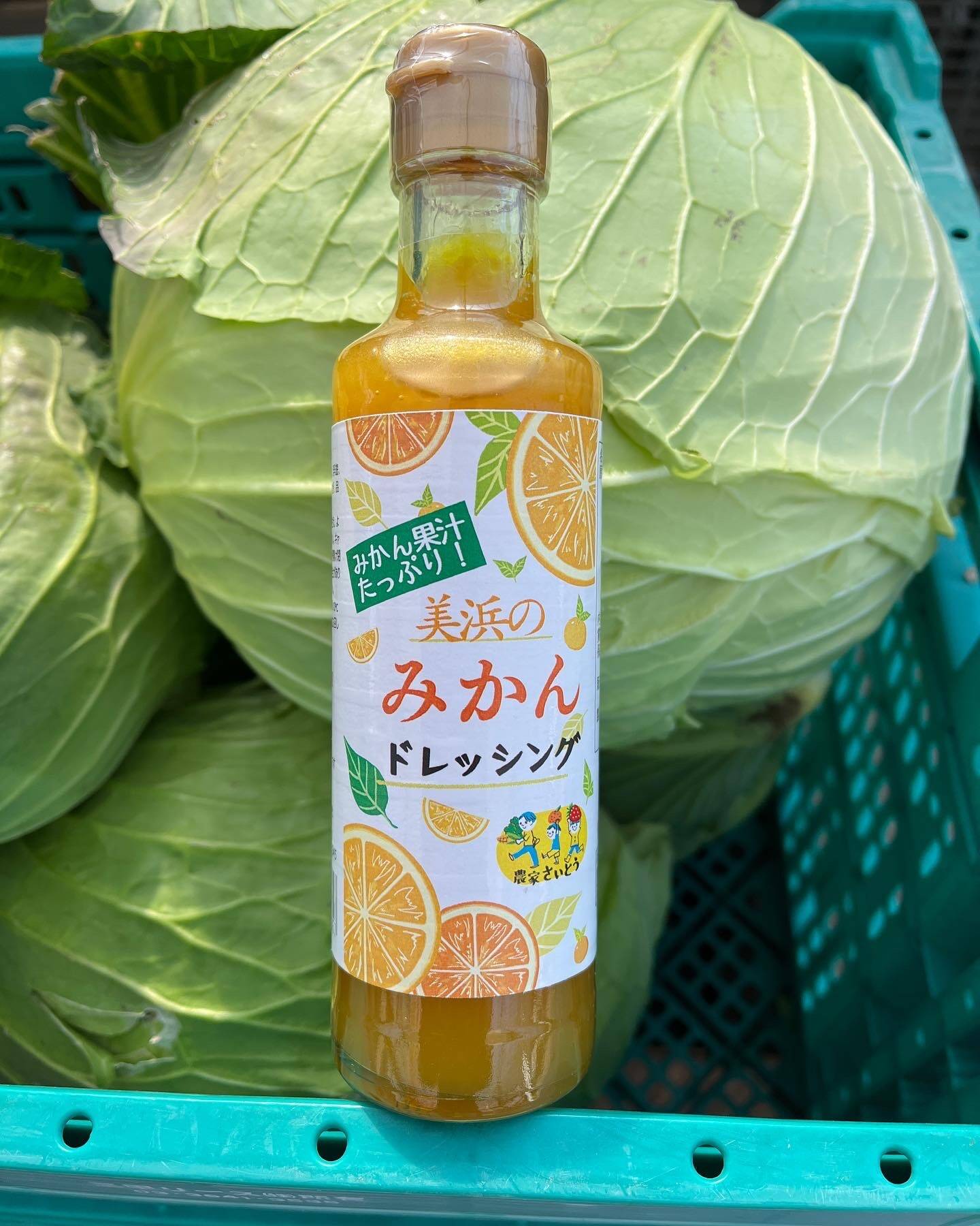 市場 出荷ネット 50枚 3みかん 赤 果物の収穫に収穫ネット 2kg用 ニンニク等の野菜 芋 玉ねぎ 市場 出荷ネット 50枚 3みかん 赤 果物の収穫に収穫ネット 2kg用 ニンニク等の野菜 芋 玉ねぎ