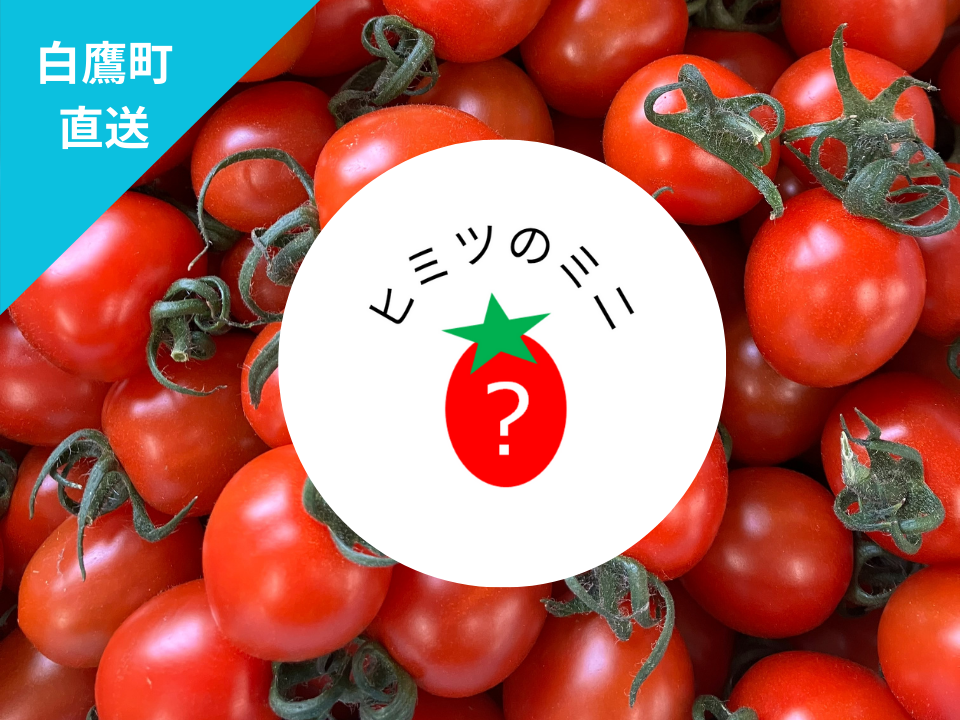 お問合せ多数！秘密にしたい?!ミニトマト『ヒミツのミニ』約1kg