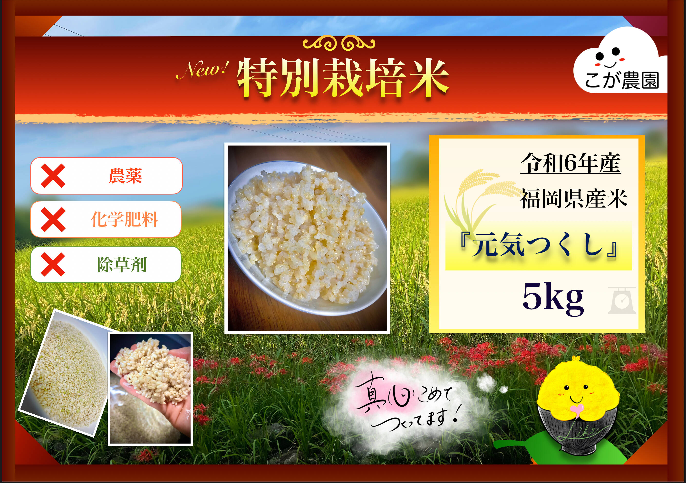 プチフルール商品　準自然米　福岡県産「元気つくし」令和6年産　玄米20kg 準自然米 大好評の福岡県産「元気つくし」令和6年産 玄米5kg