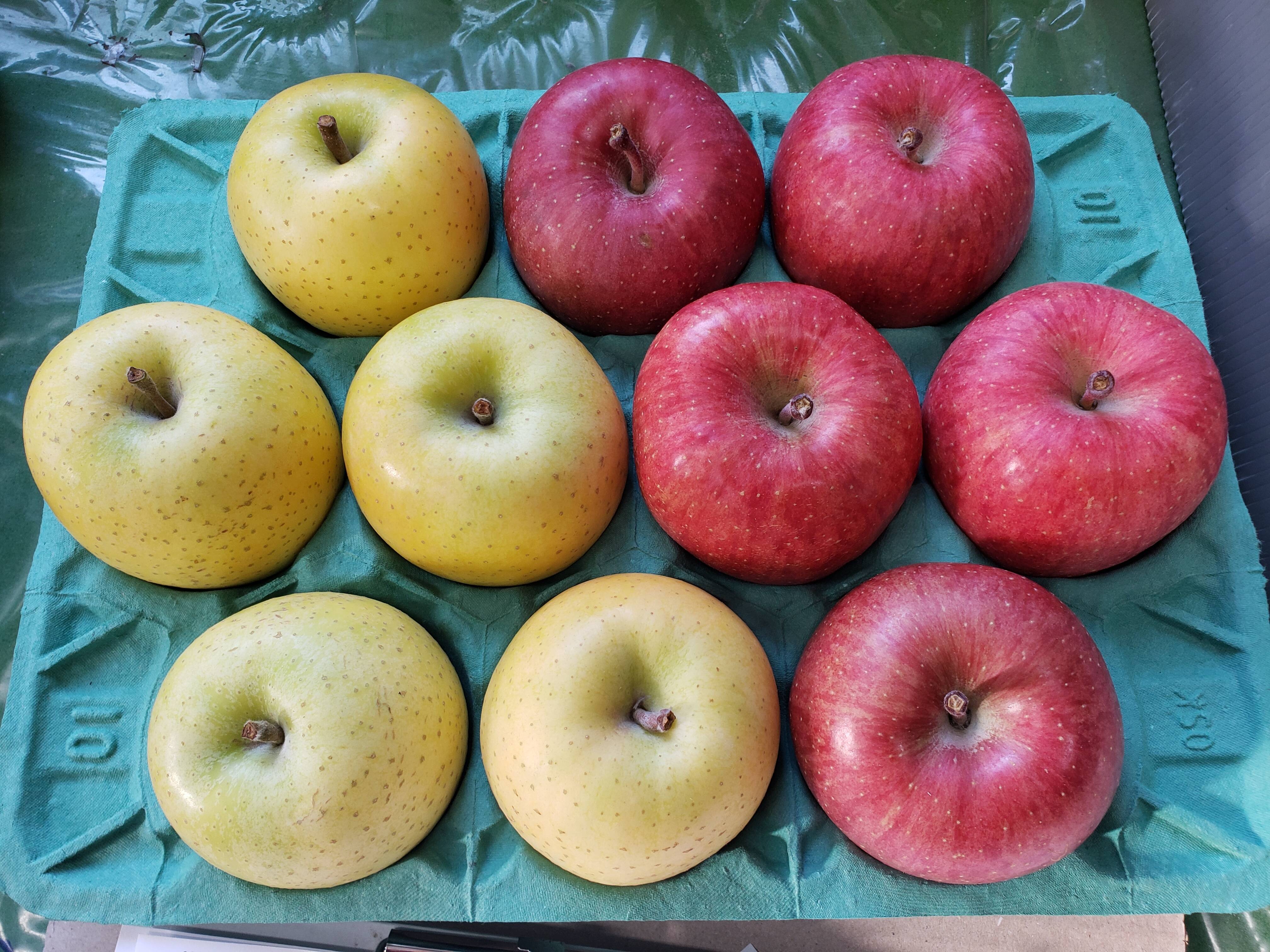 人気2品種詰め合わせ家庭用3kg(10～12個) サンふじ☆王林：青森