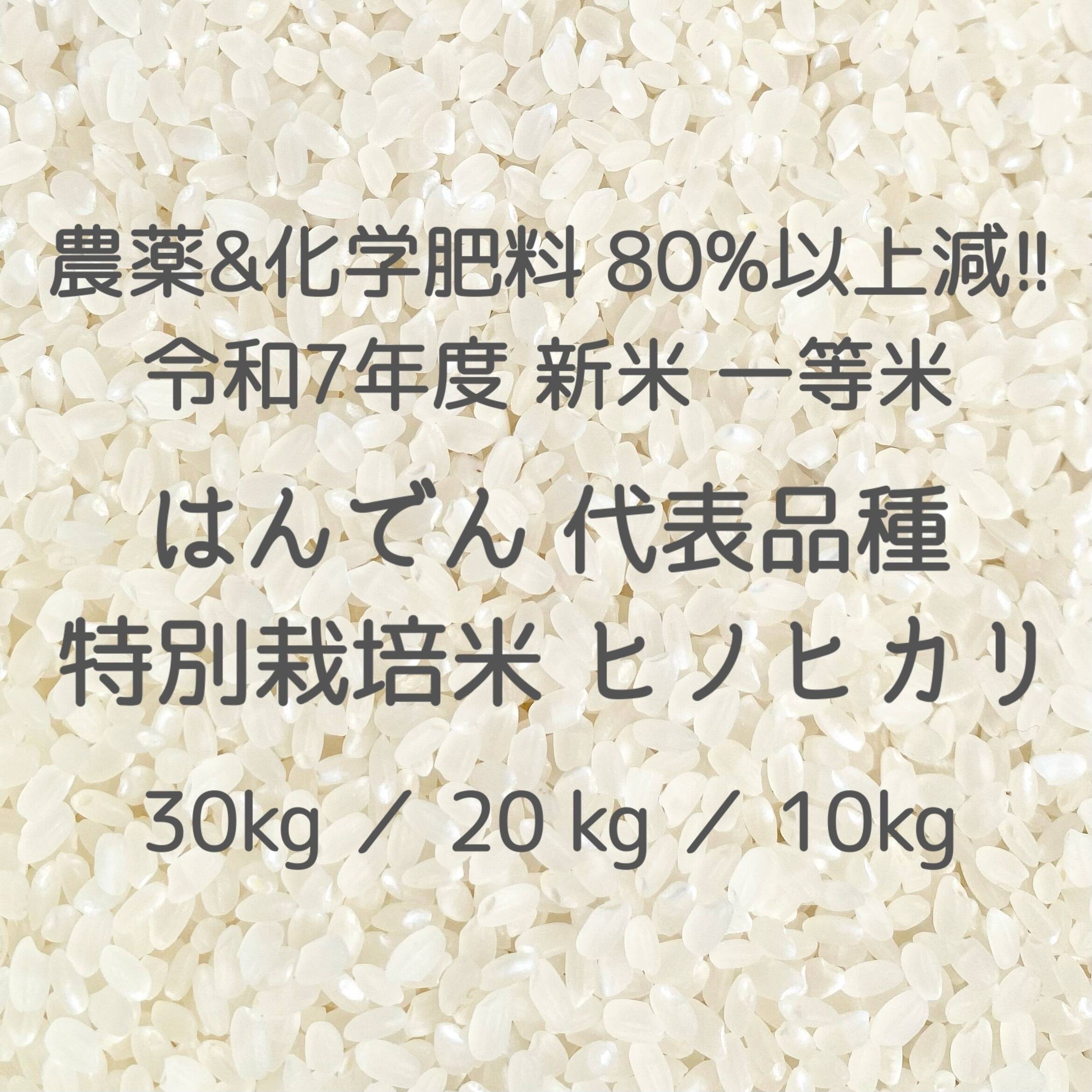 収穫から3日~7日以内の【 生きたお米 】 農薬&化学肥料80%以上大幅減