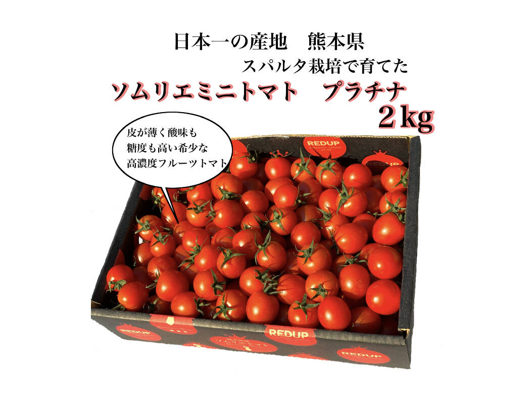 １２月から発送 希少な高濃度フルーツトマト ソムリエミニトマト プラチナ２kg 熊本県産 食べチョク 農家 漁師の産直ネット通販 旬の食材を生産者直送
