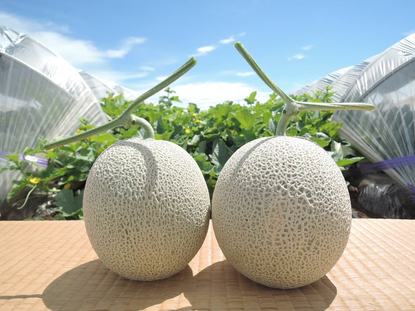 d36f4d8bd091c87813b1ed5cbaf7aa