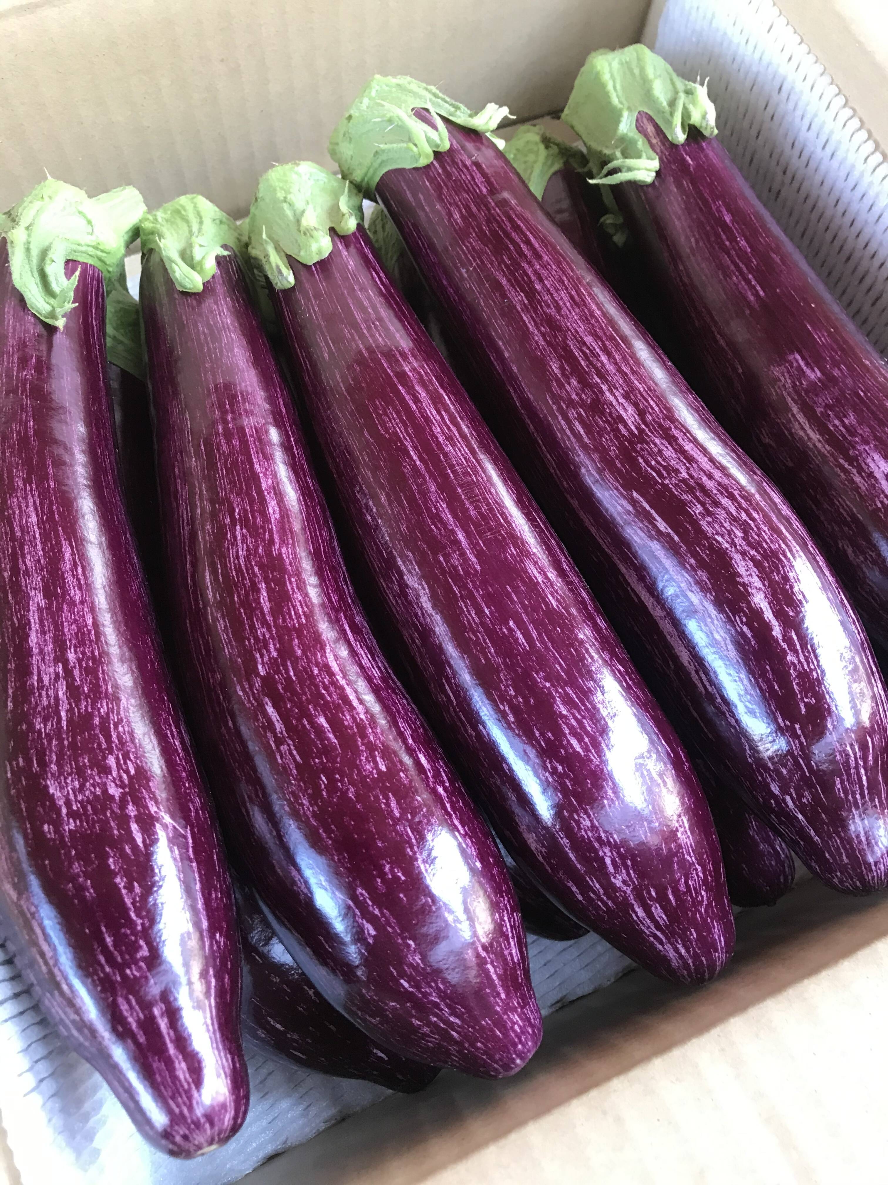 りんごあめなす】ゼブラ茄子 〜鮮やかな紫〜 6本：新潟県産のメラン
